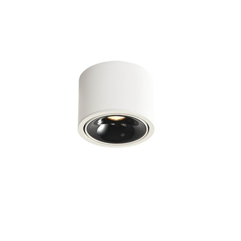 Contemporary Adjustable Round LED Flush Mount Ceiling Spotlight