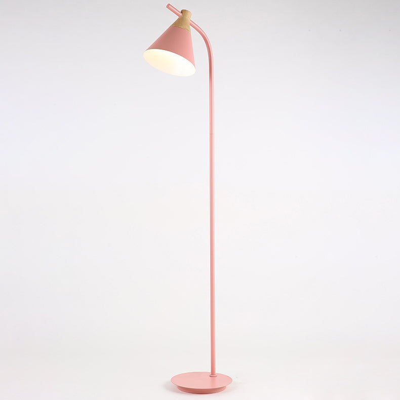Nordic Inspired Macaron Cone Shade Single-Light Floor Lamp