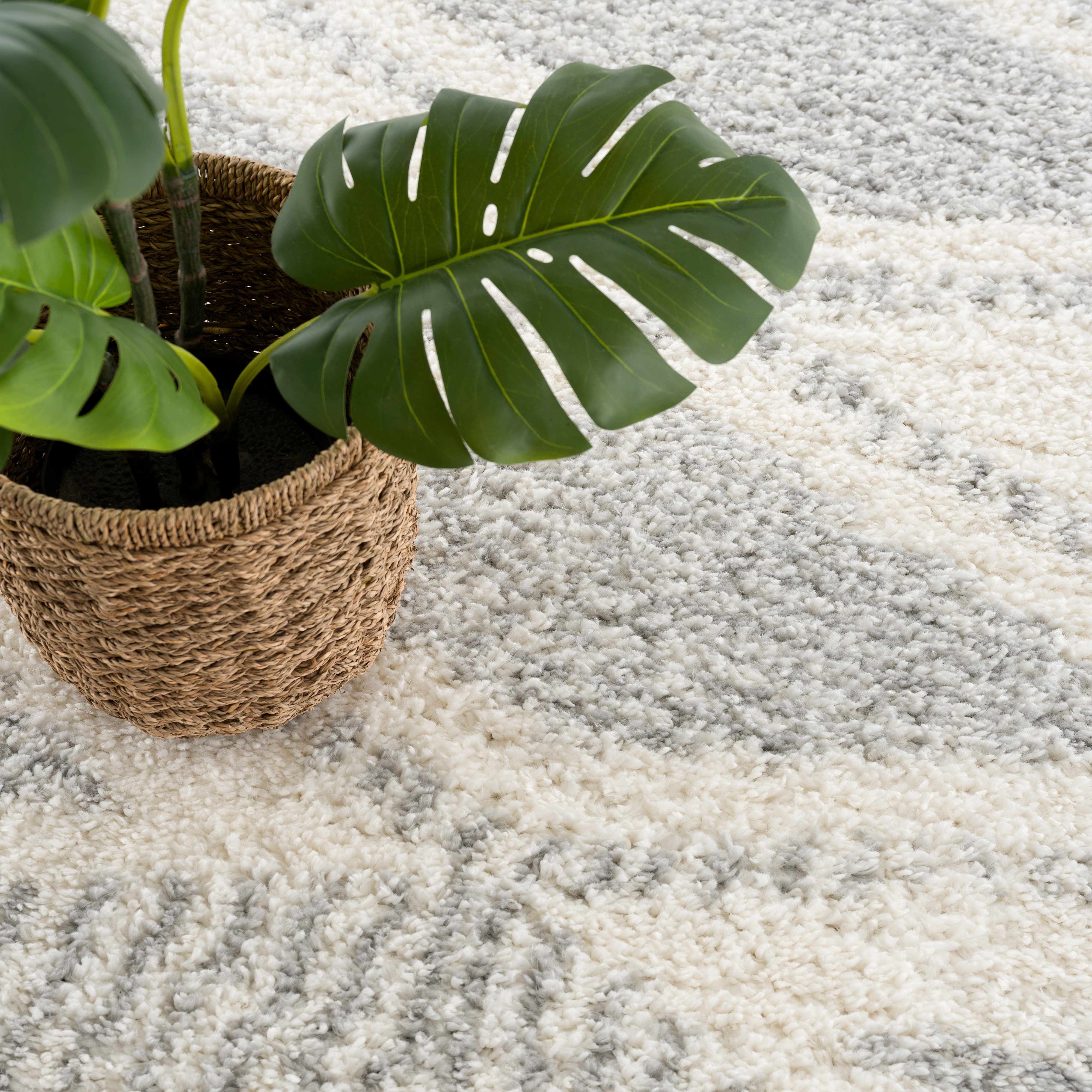 Gala Plush Area Rug  Machine Woven, 100% Polypropylene, Gray