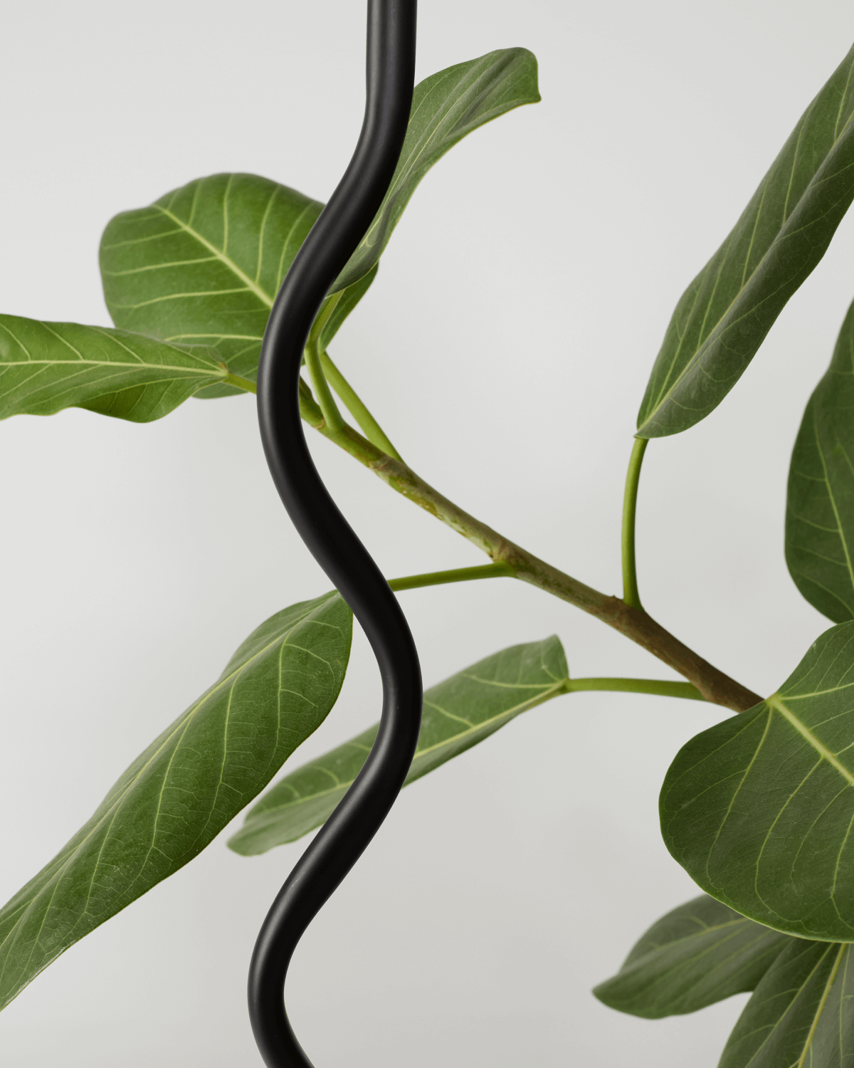 Curva Squiggle Floor Lamp | White Fabric Shade, Curvy Stem