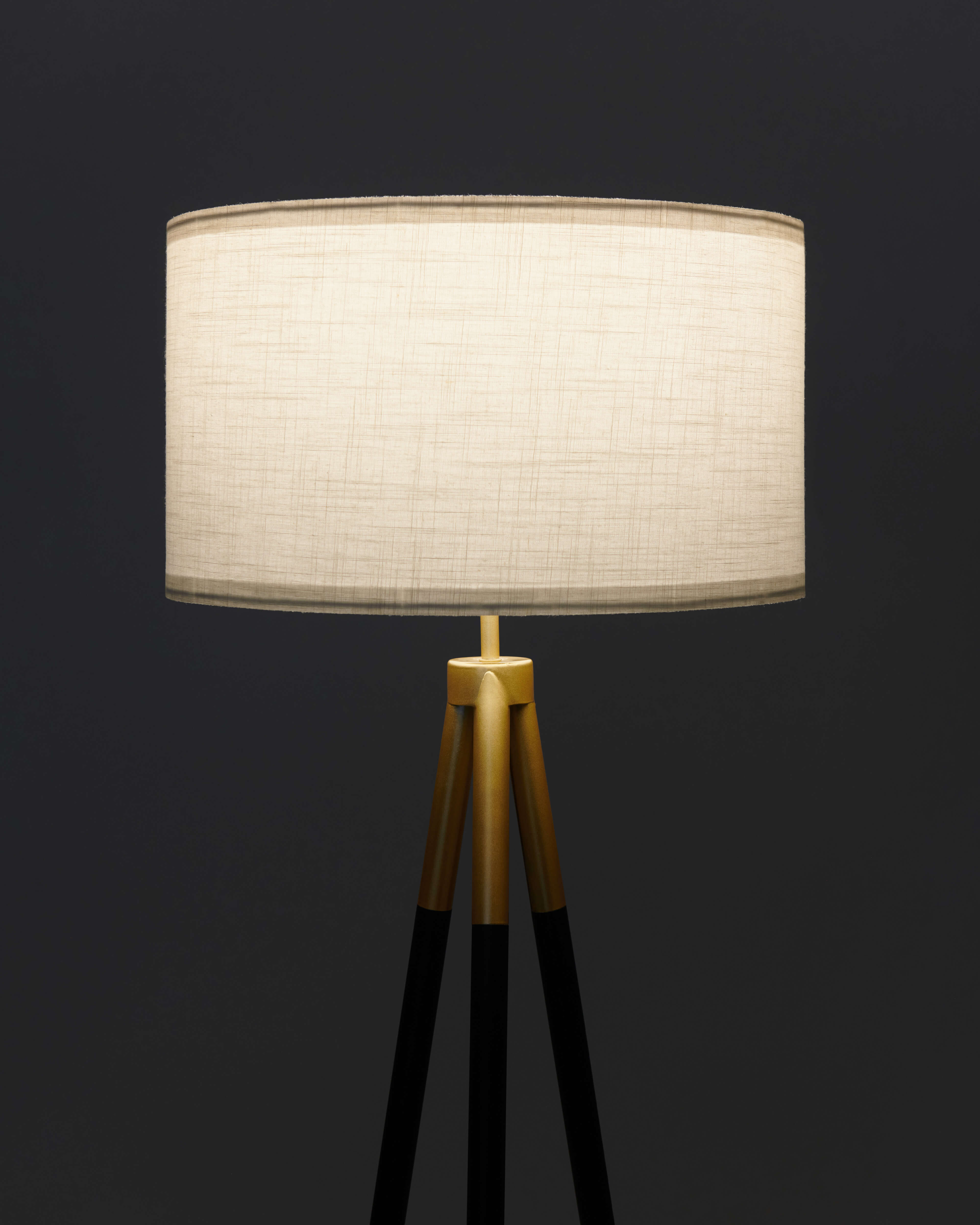Luxe Floor Lamp | Black & Gold, Smart Home-Compatible
