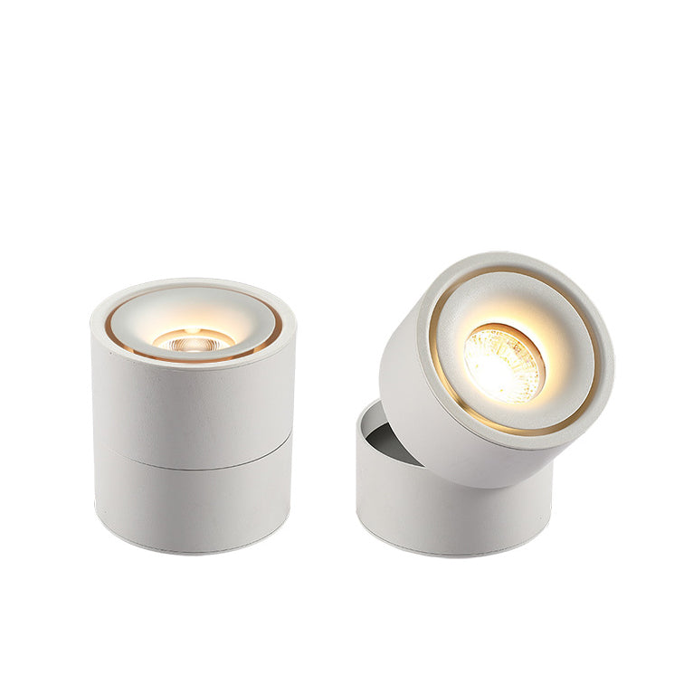 Contemporary Adjustable Aluminum LED Flush Mount Ceiling Light for Living Room