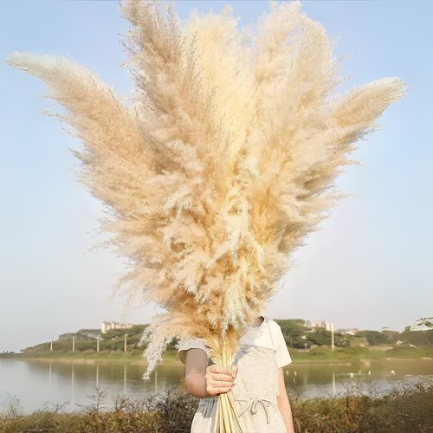 Bela Dried Pampas Grass Bouquet | XL Natural Decor for Home & Events