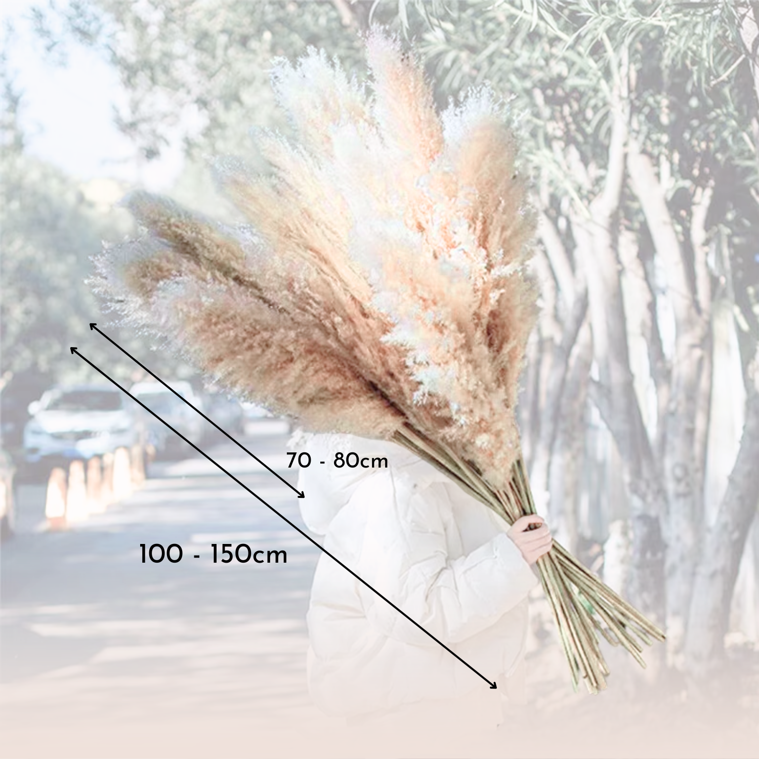 Bela Dried Pampas Grass Bouquet | 10 XL Stems, Natural Elegance