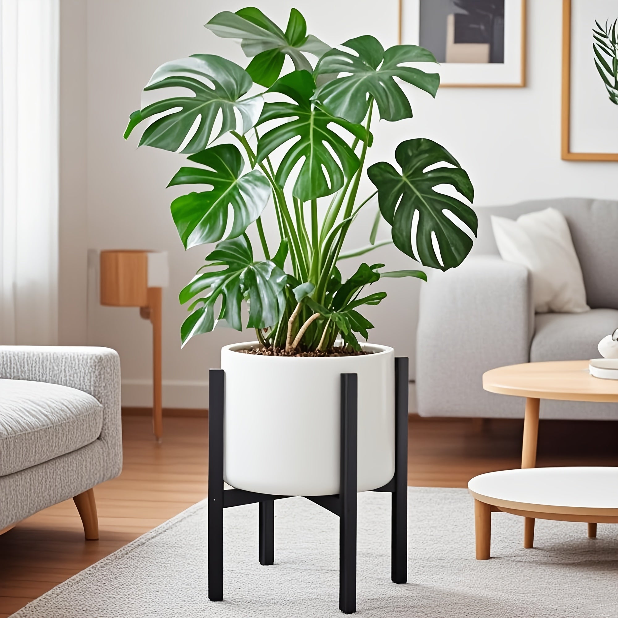 Bela Adjustable Metal Plant Stand | Rust-Resistant, Dual Height