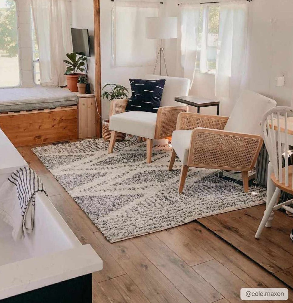 Trundo Plush Area Rug  Machine Woven  Transitional Bohemian