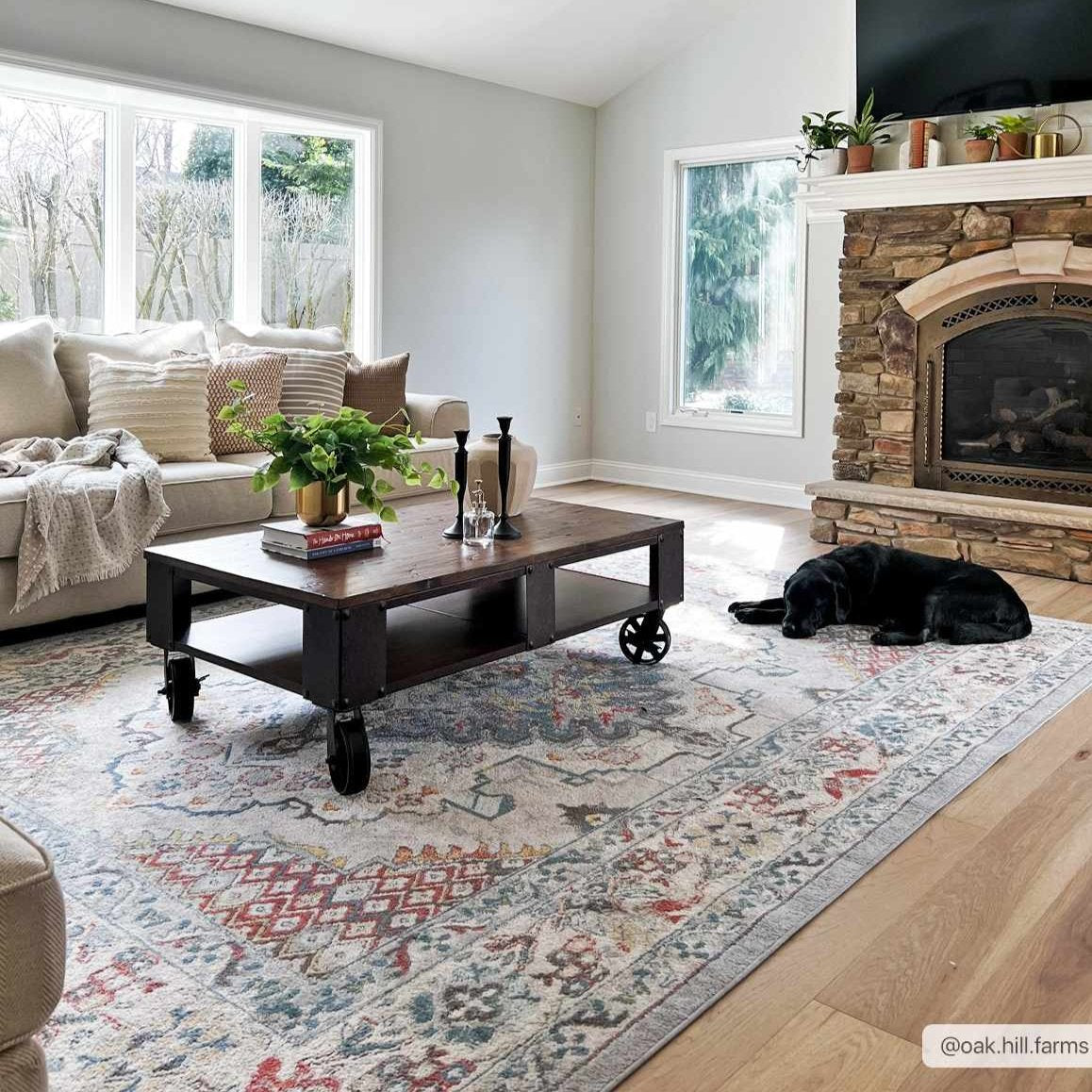 Haven Area Rug  Machine Woven  Traditional Style  Medium Pile