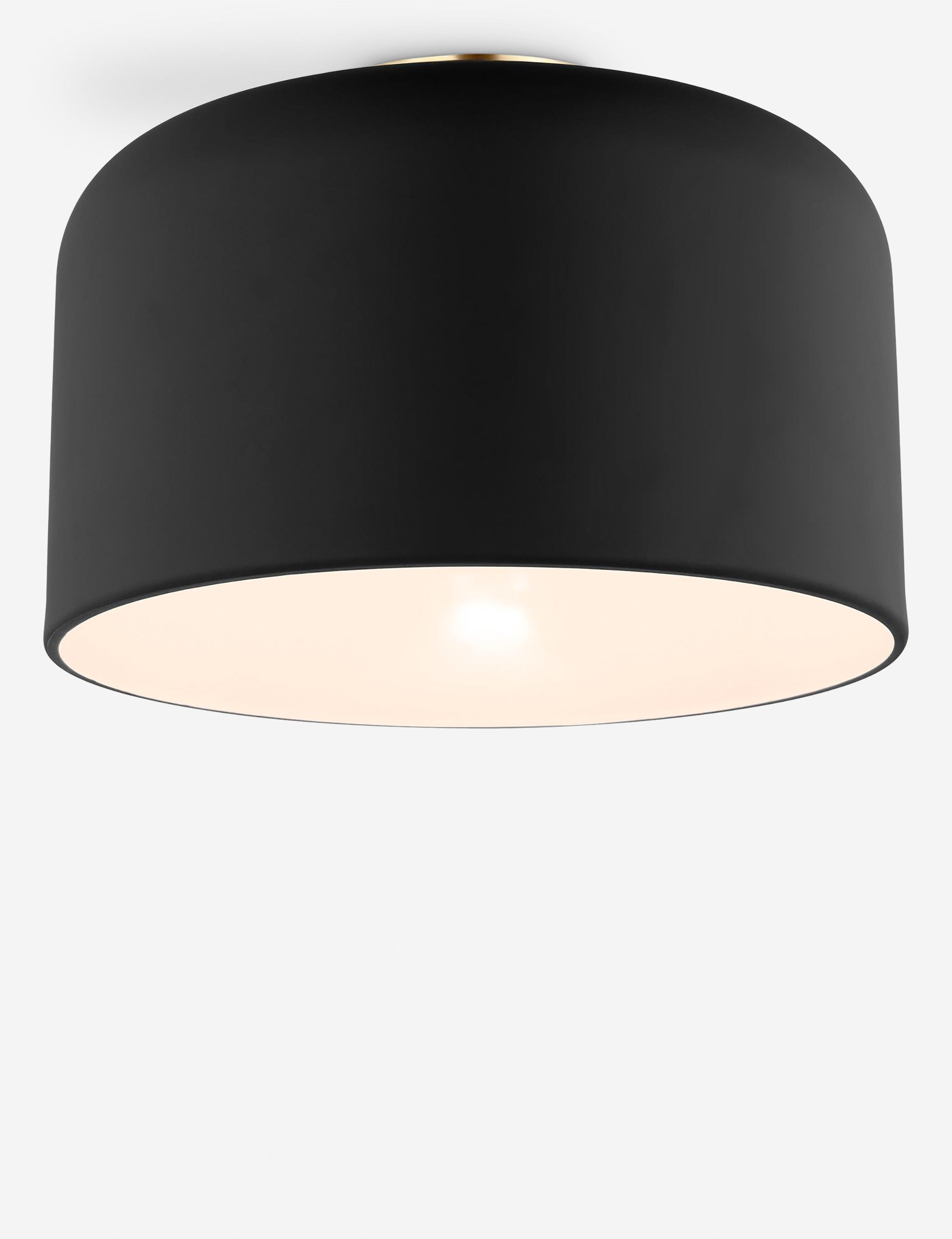 Orion Flush Mount Light | Steel Dome Shade, Minimalist Design