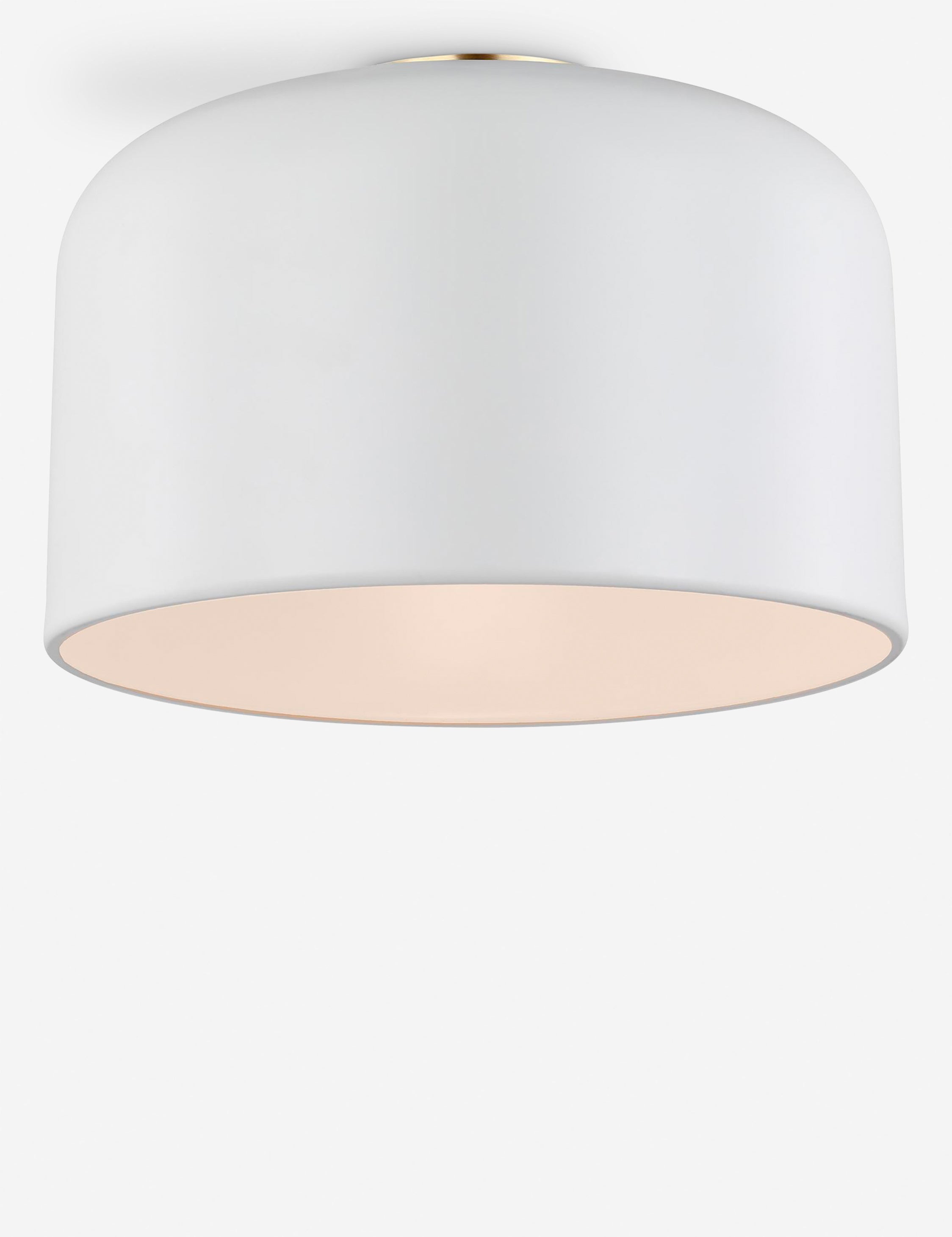 Orion Flush Mount Light | Steel Dome Shade, Minimalist Design