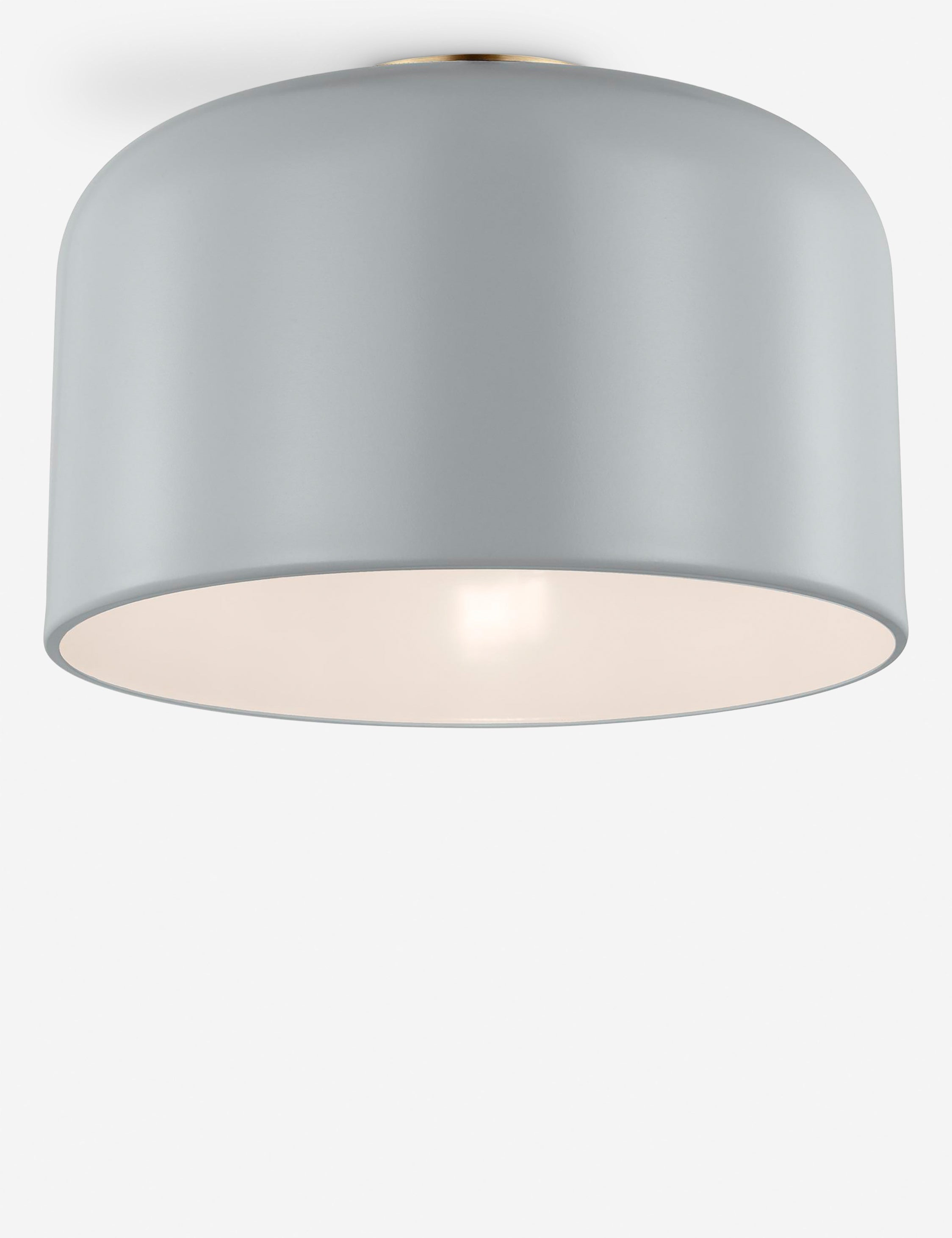 Orion Flush Mount Light | Steel Dome Shade, Minimalist Design