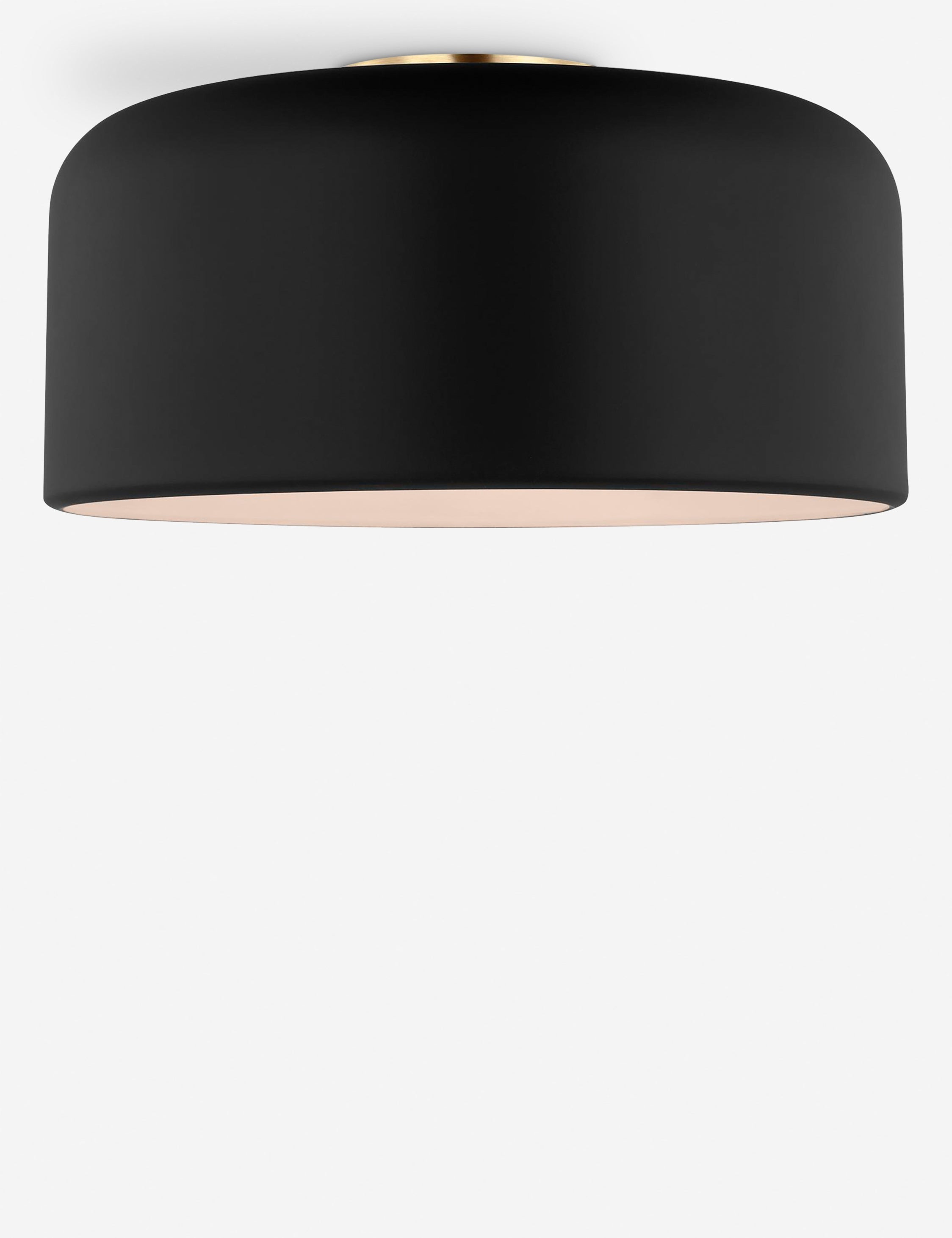 Orion Flush Mount Light | Steel Dome Shade, Minimalist Design