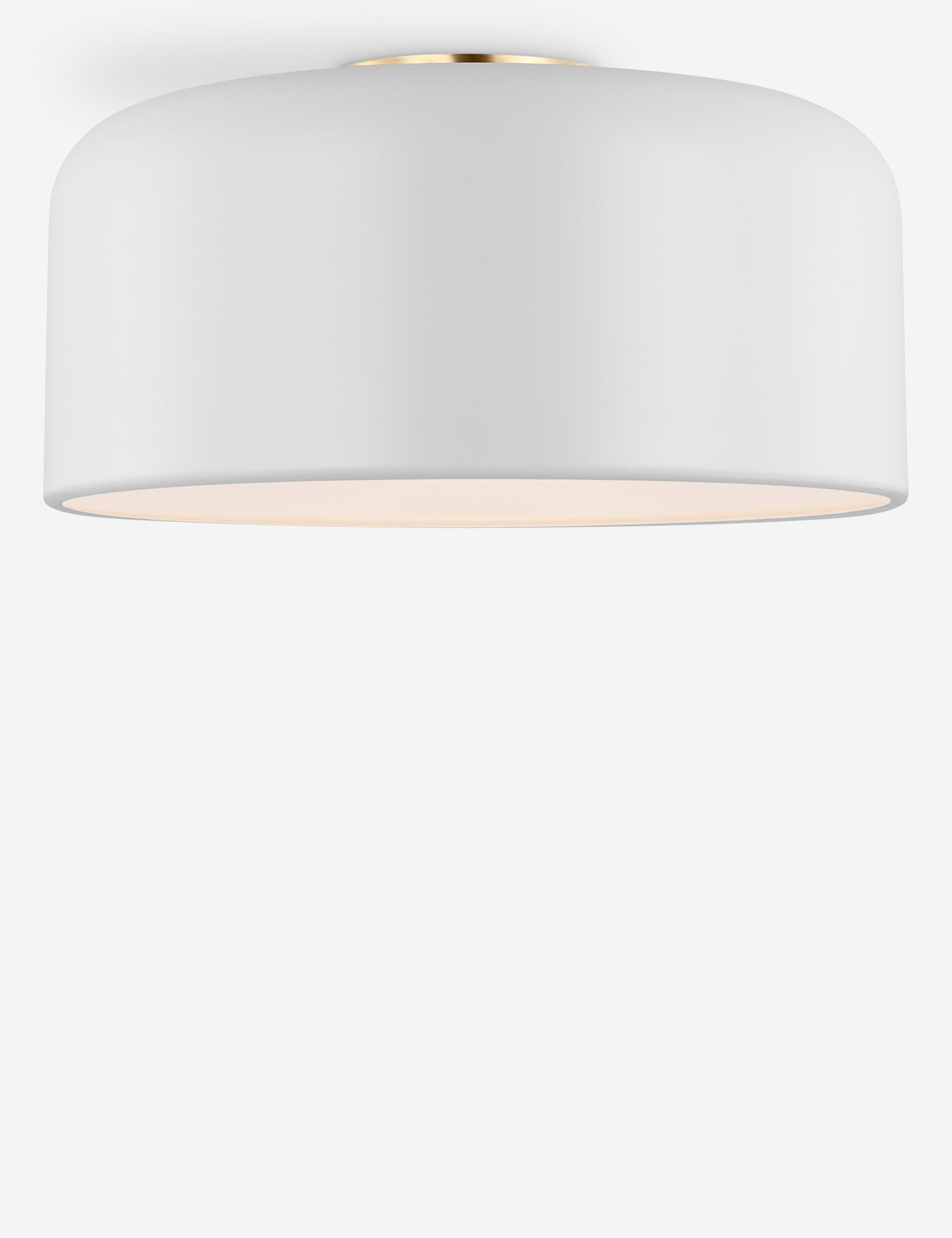 Orion Flush Mount Light | Steel Dome Shade, Minimalist Design