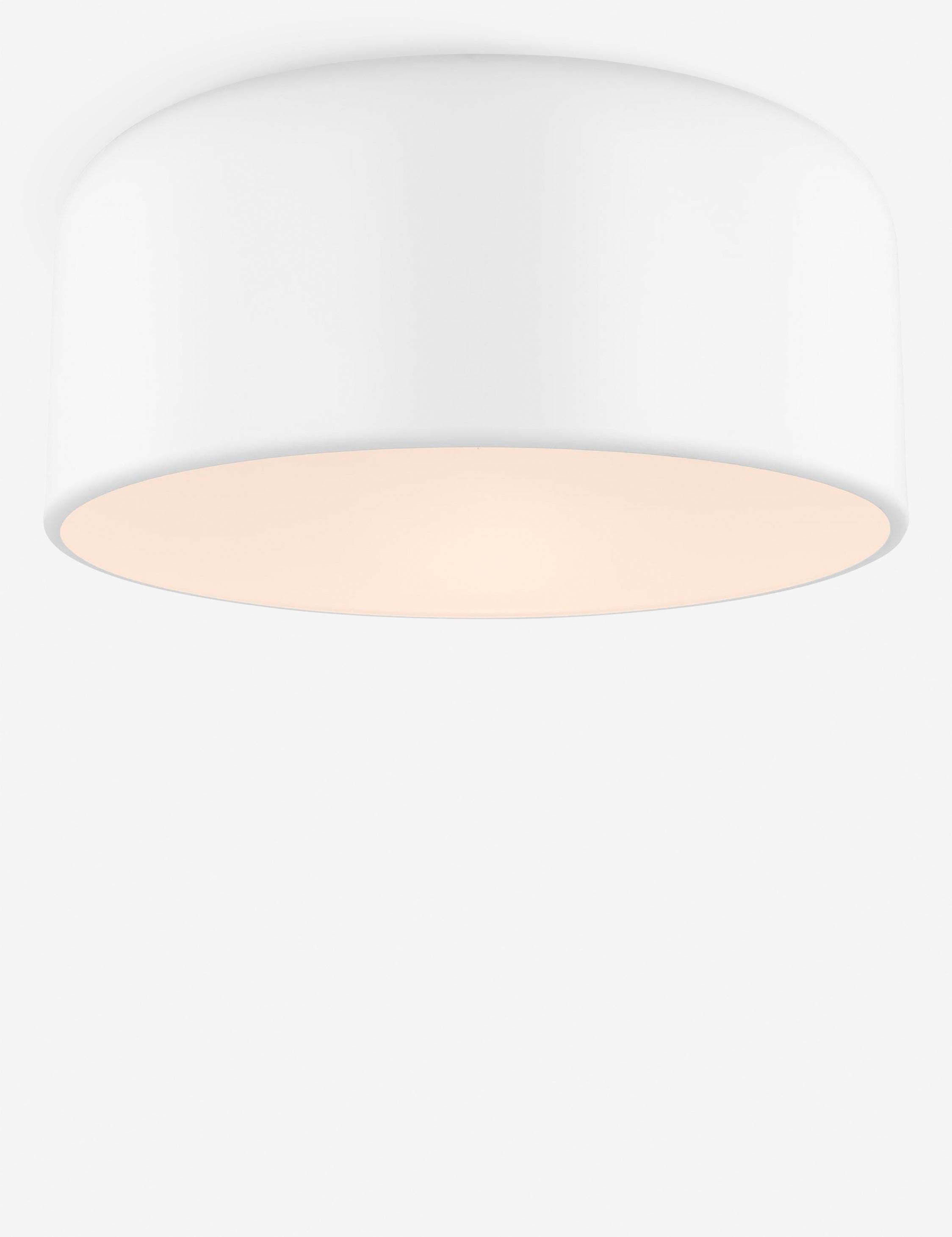 Orion Flush Mount Light | Steel Dome Shade, Minimalist Design