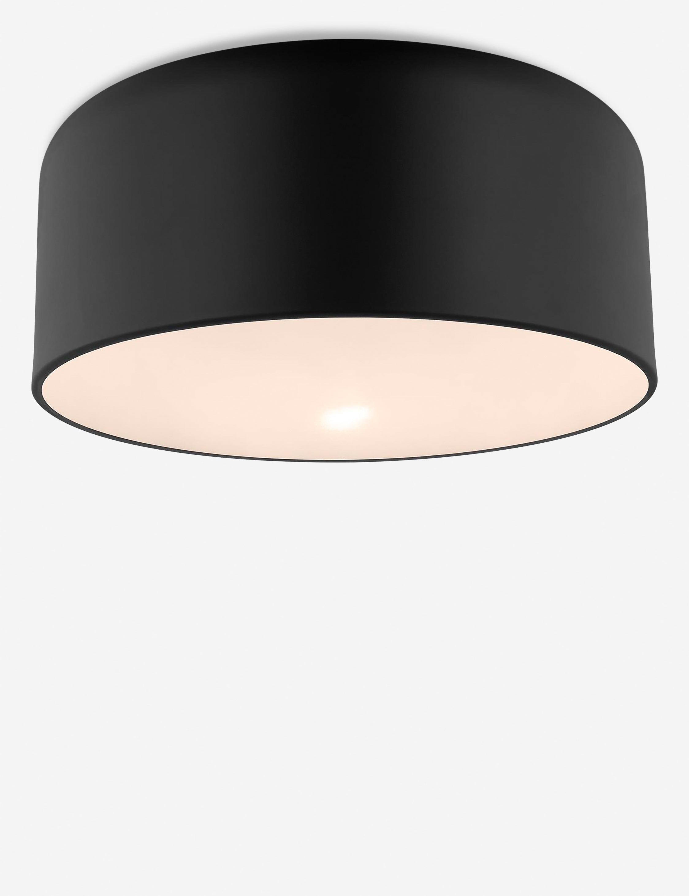 Orion Flush Mount Light | Steel Dome Shade, Minimalist Design