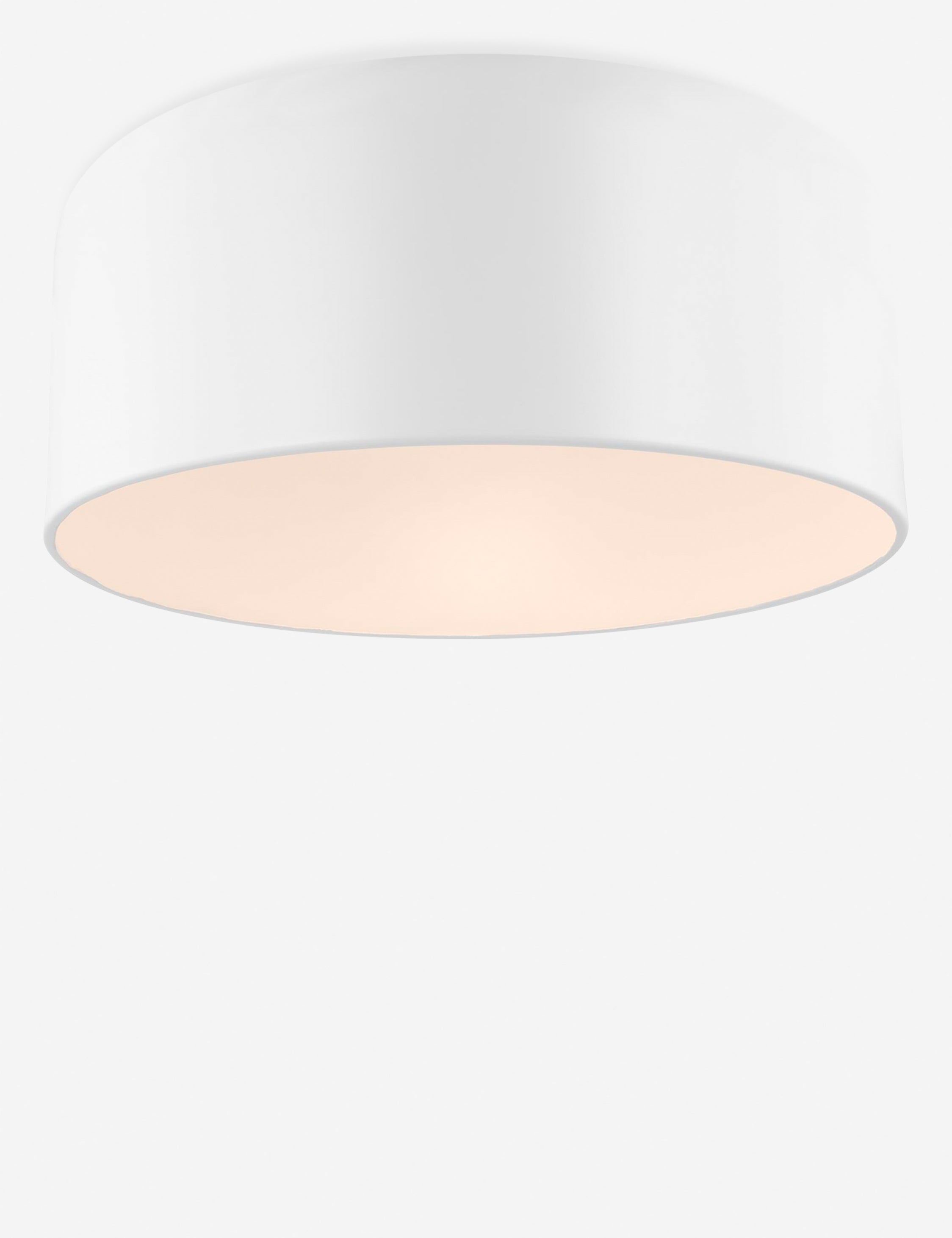 Orion Flush Mount Light | Steel Dome Shade, Minimalist Design