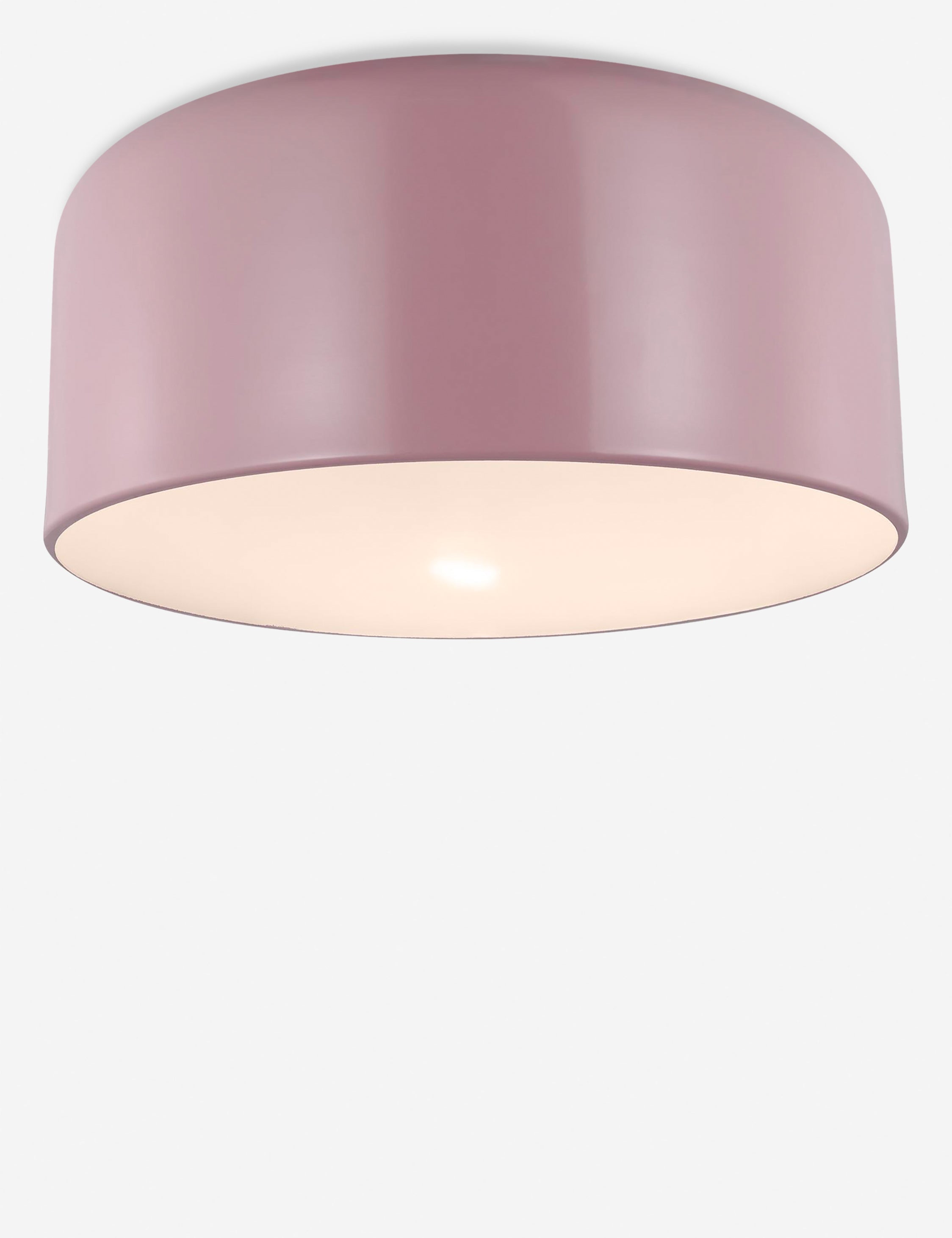 Orion Flush Mount Light | Steel Dome Shade, Minimalist Design