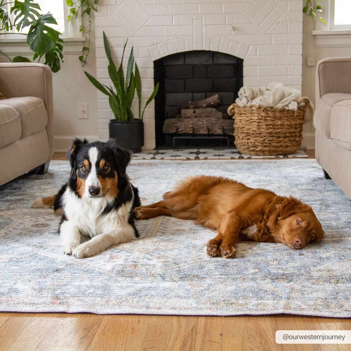 Alera Washable Rug  Machine Woven  Traditional Style