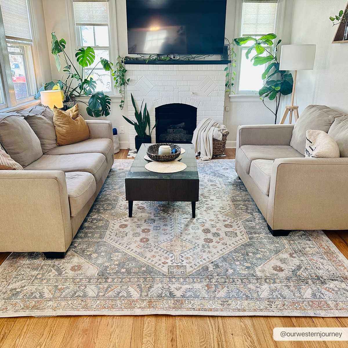 Alera Washable Rug  Machine Woven  Traditional Style