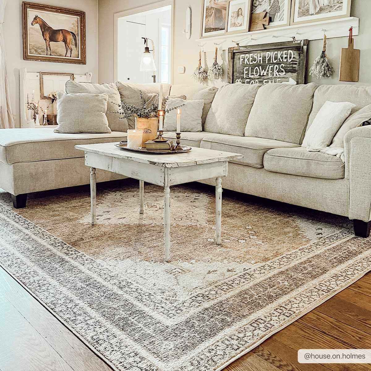 Albas Area Rug  Machine Washable  Medium Pile  Traditional Style