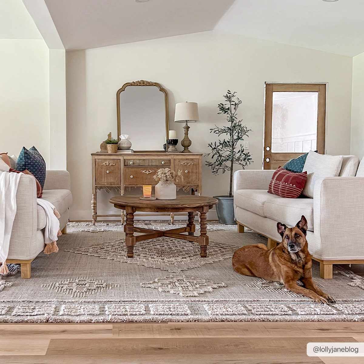 Aero Ampusungan Area Rug  High Pile  Transitional Bohemian Design