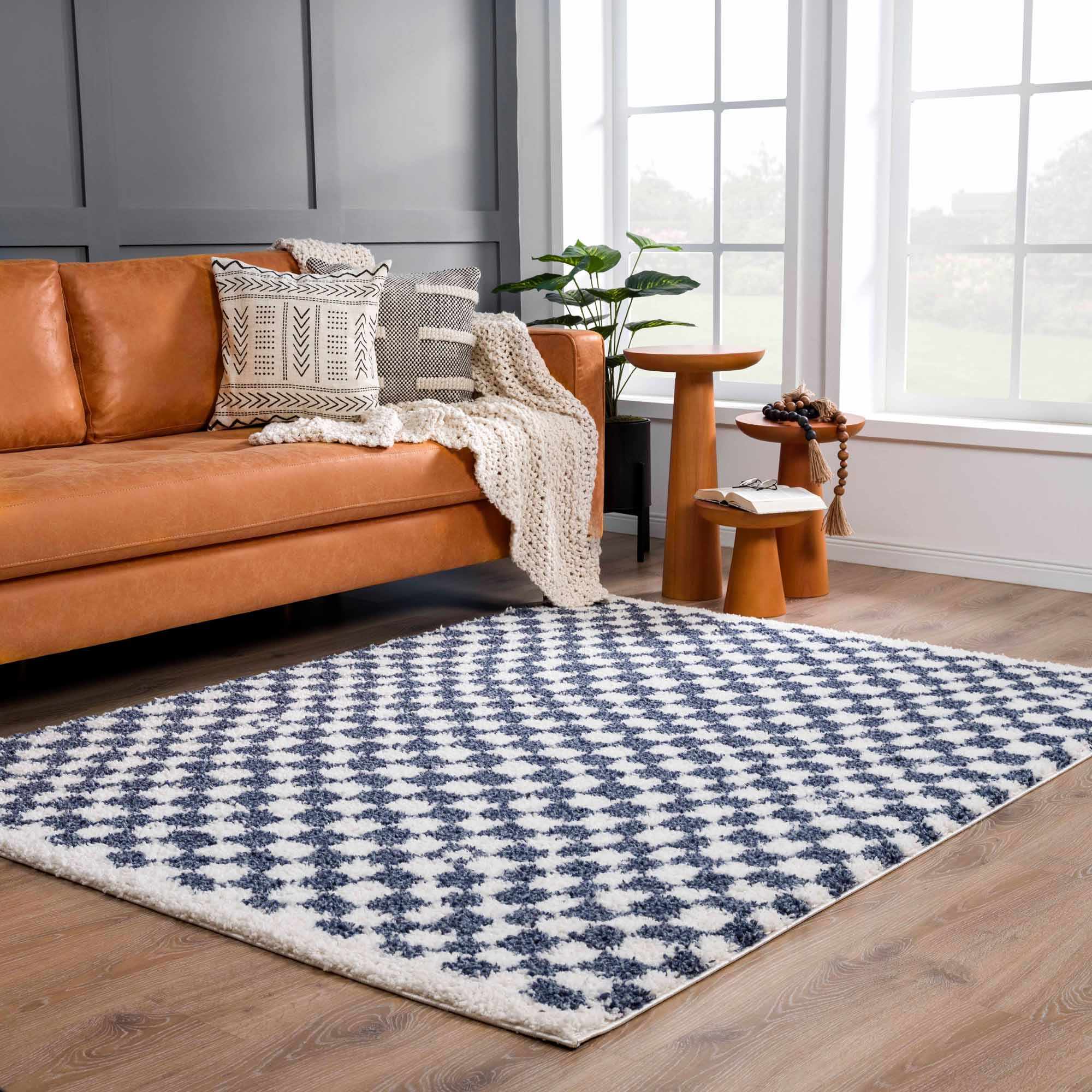 Breezy Blue & White Checkered Area Rug  Plush Polyester, Machine Woven