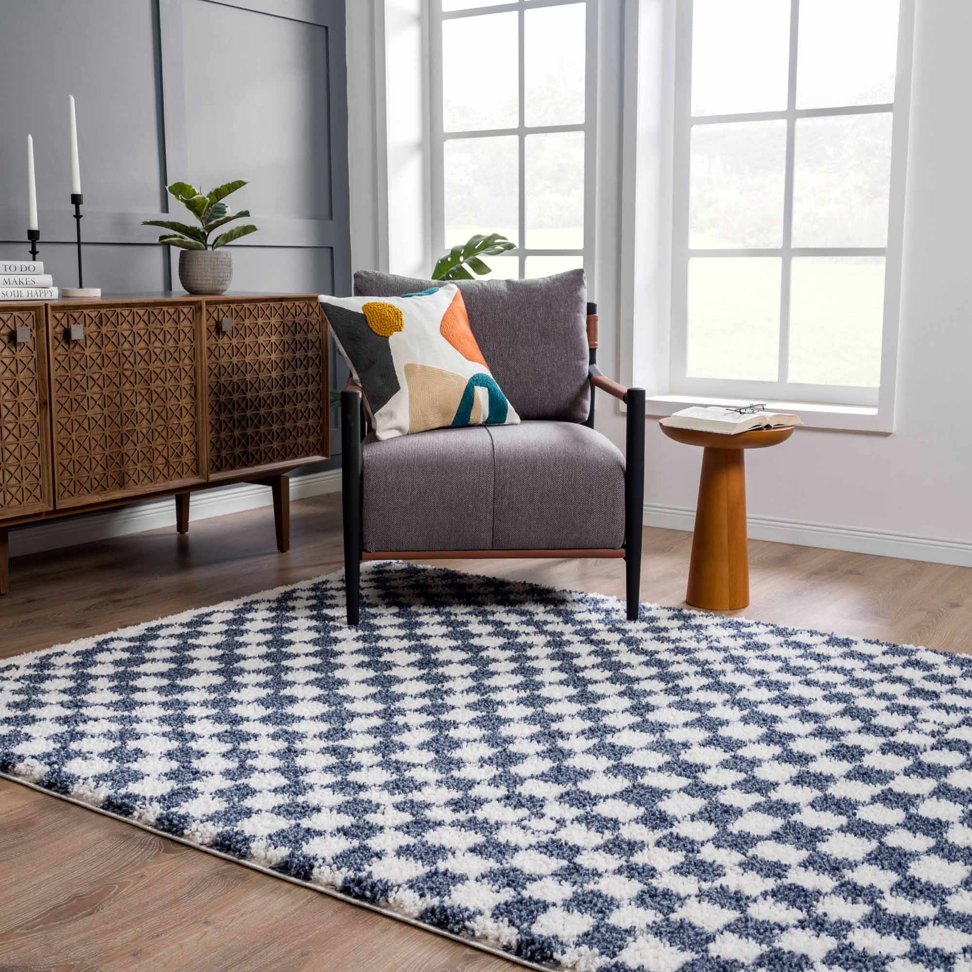 Breezy Blue & White Checkered Area Rug  Plush Polyester, Machine Woven