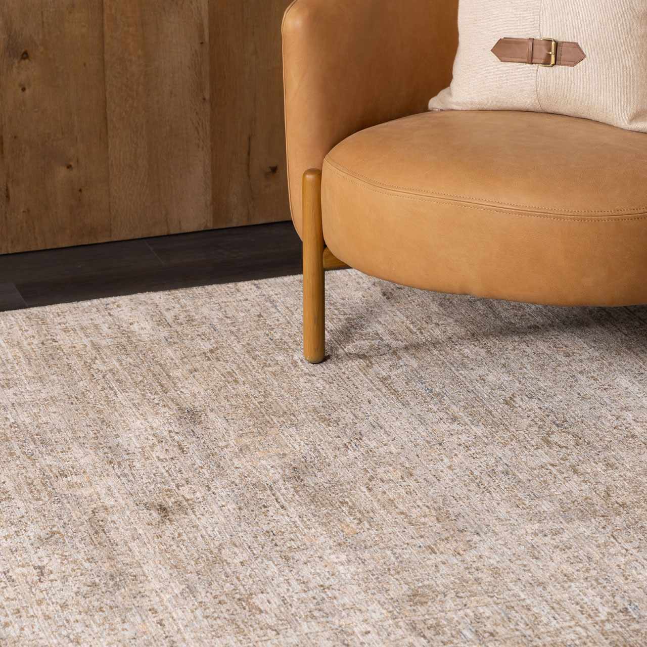 Bela Outdoor Area Rug  Machine Woven, Washable, Low Pile