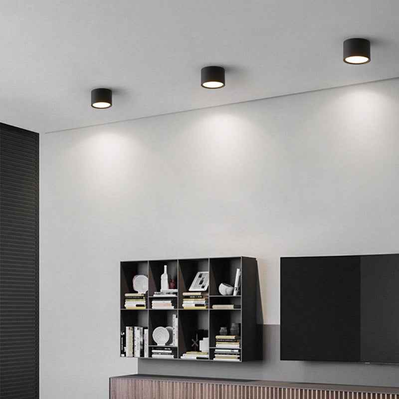 Contemporary Minimalist Cylinder LED Flush Mount Ceiling Light in Aluminum and Acrylic for Hallways