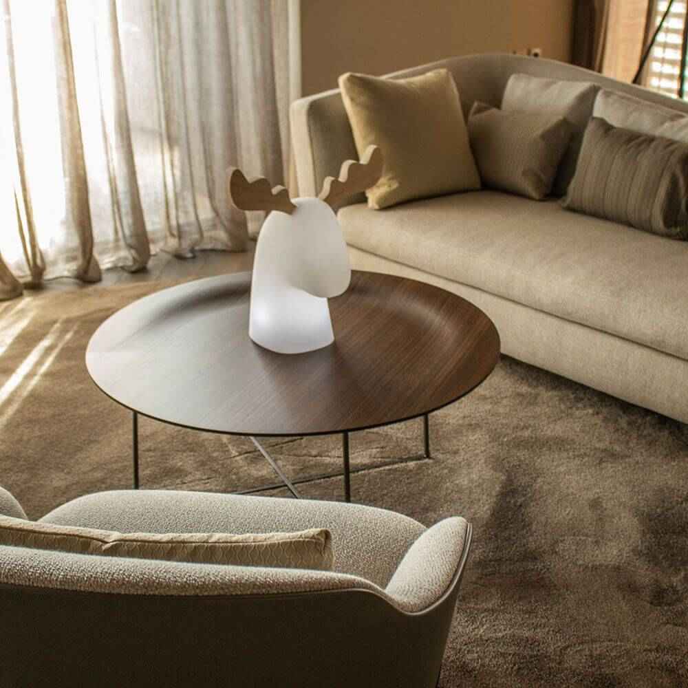 Rudy Decorative Lamp | Illuminated LED, Warm White Light