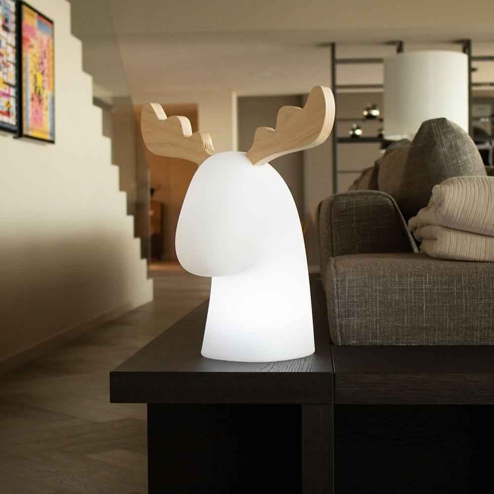 Rudy Decorative Lamp | Illuminated LED, Warm White Light