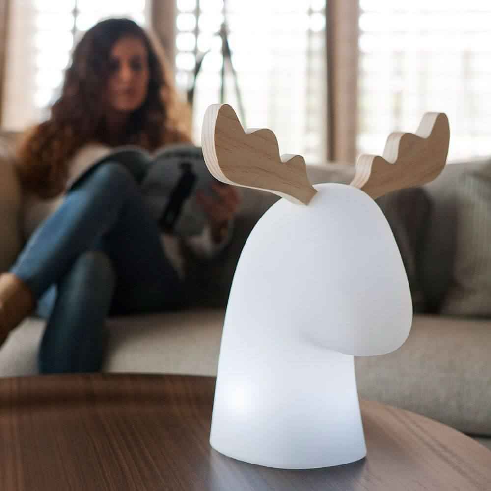Rudy Decorative Lamp | Illuminated LED, Warm White Light