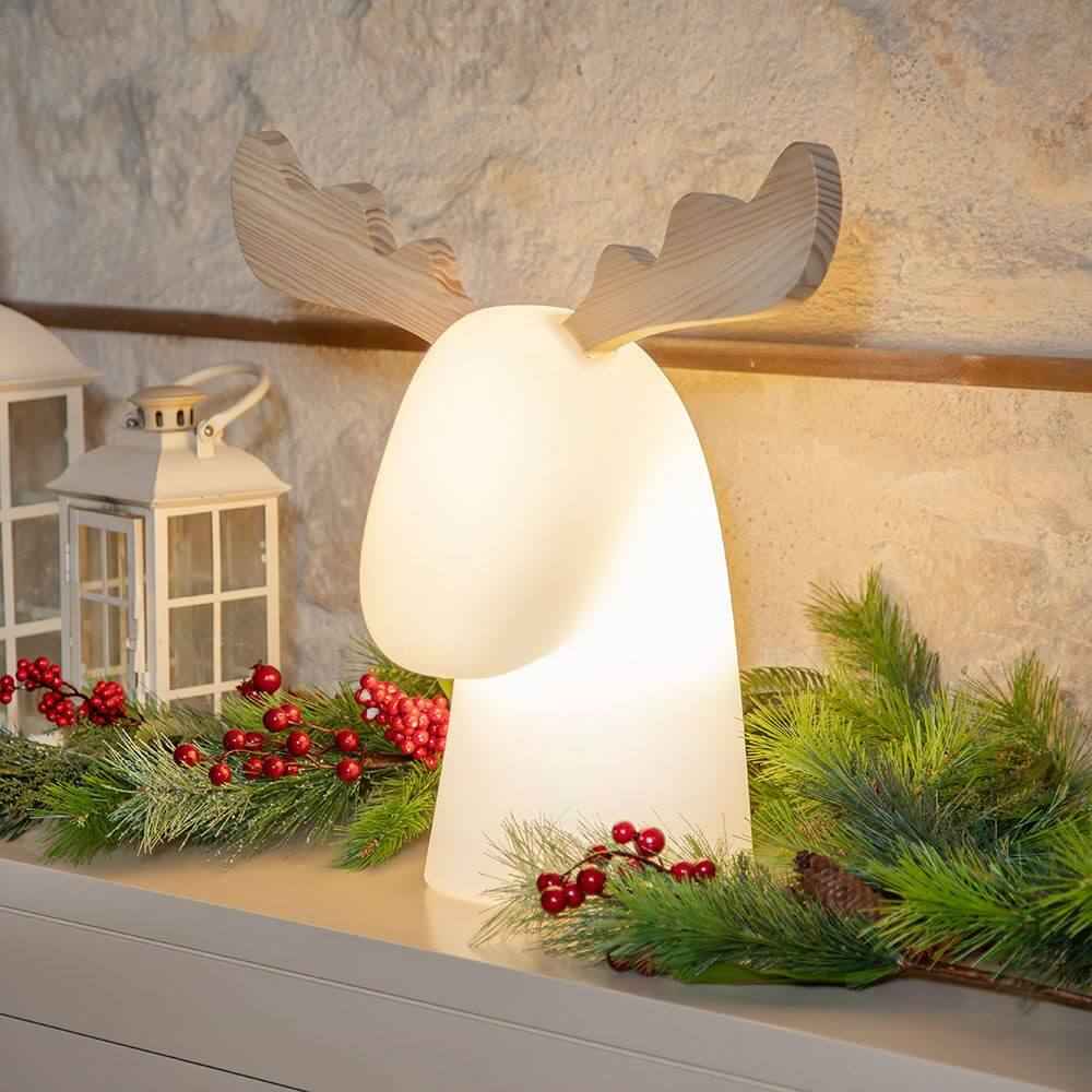 Rudy Decorative Lamp | Illuminated LED, Warm White Light