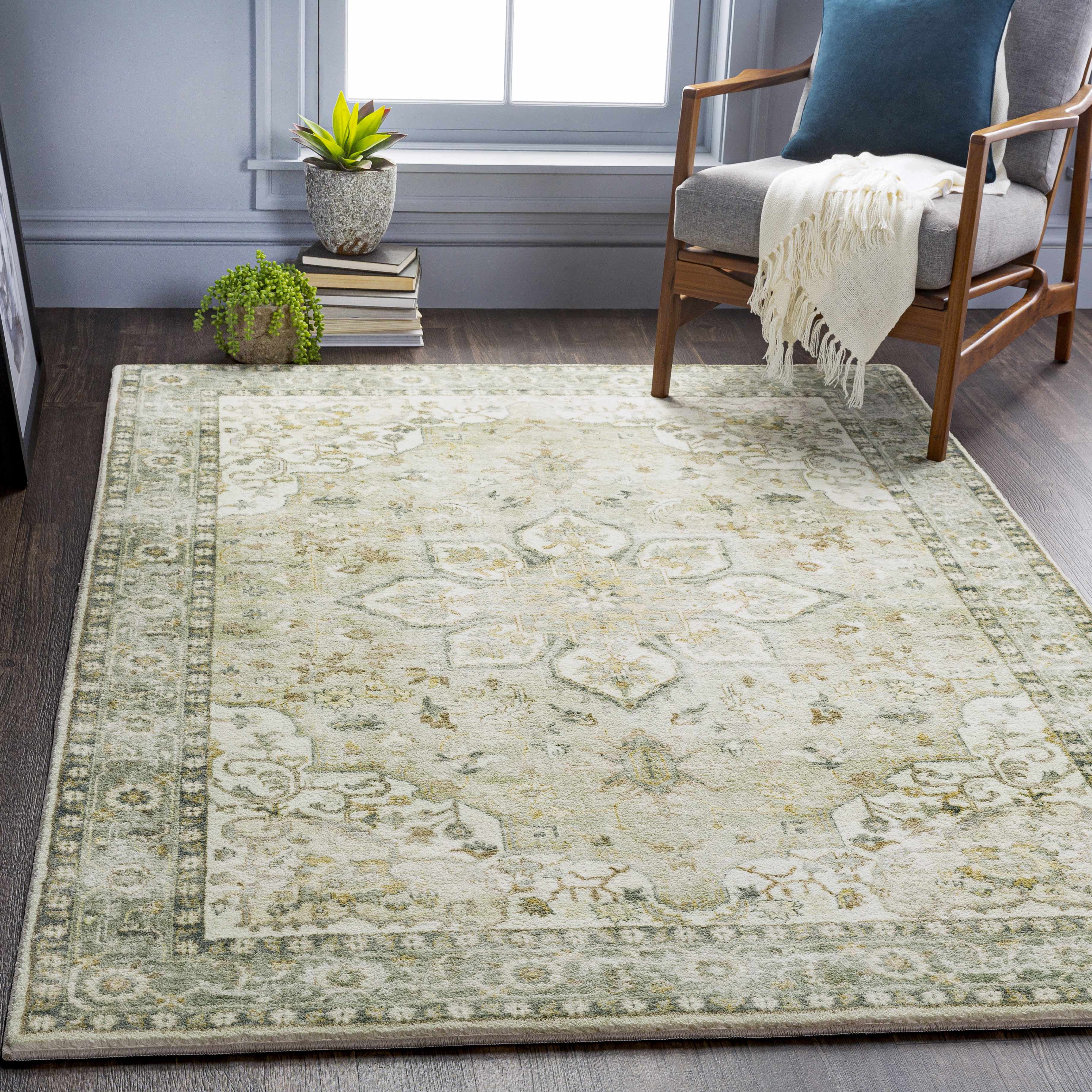 Cielo Area Rug  Traditional  Machine Woven  Medium Pile