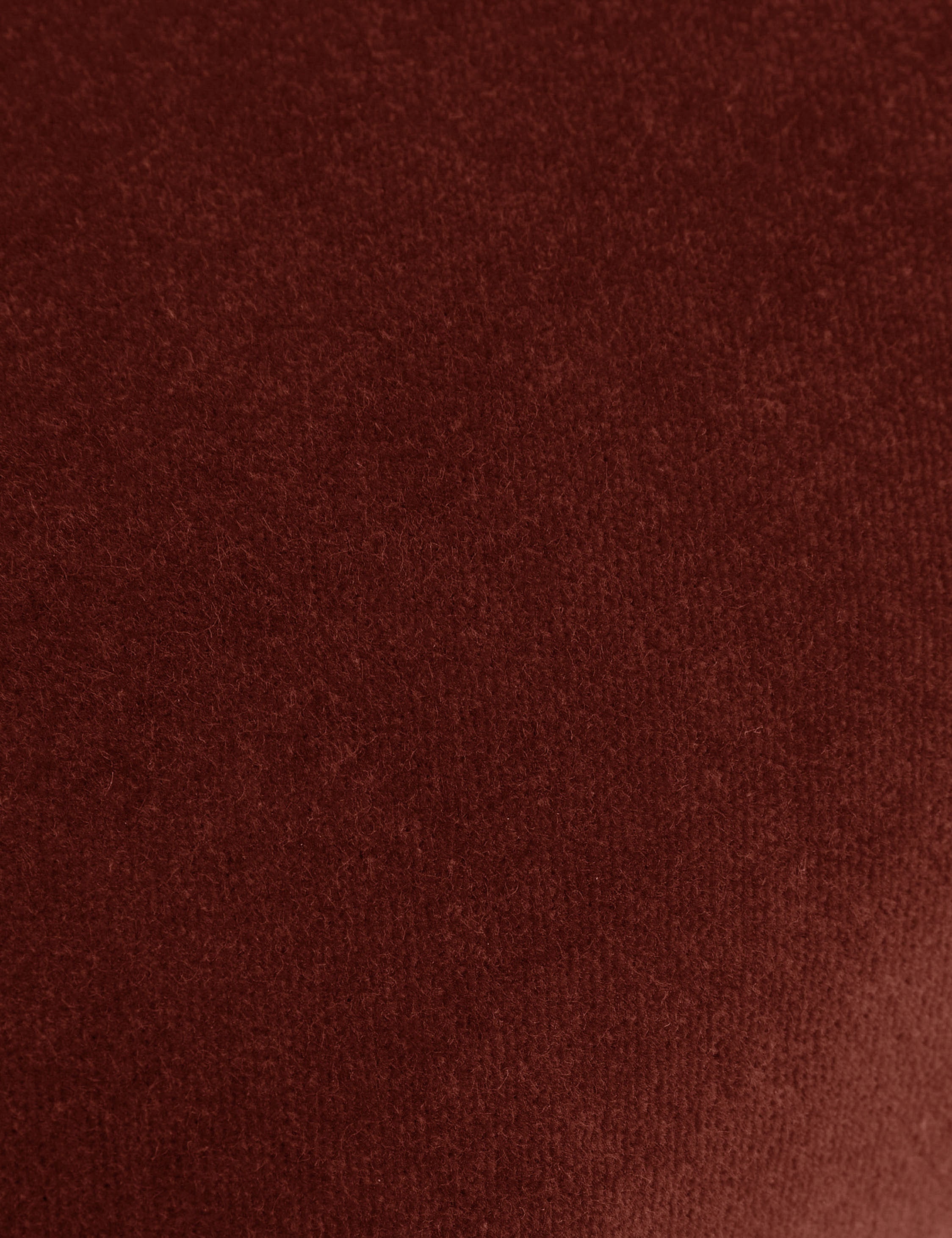 Charlotte Velvet Pillow