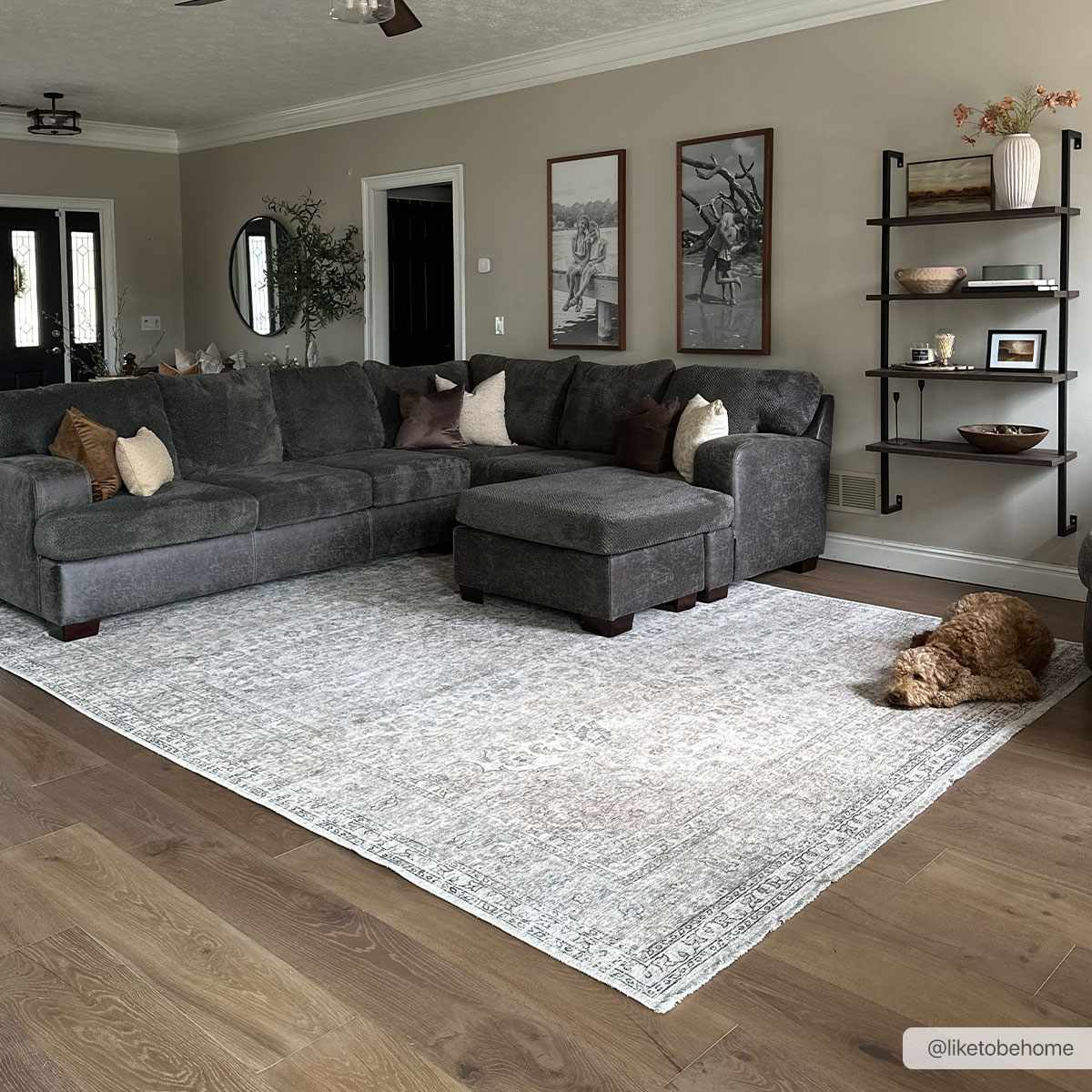 Bela Washable Area Rug  Durable Polyester, Stain-Resistant