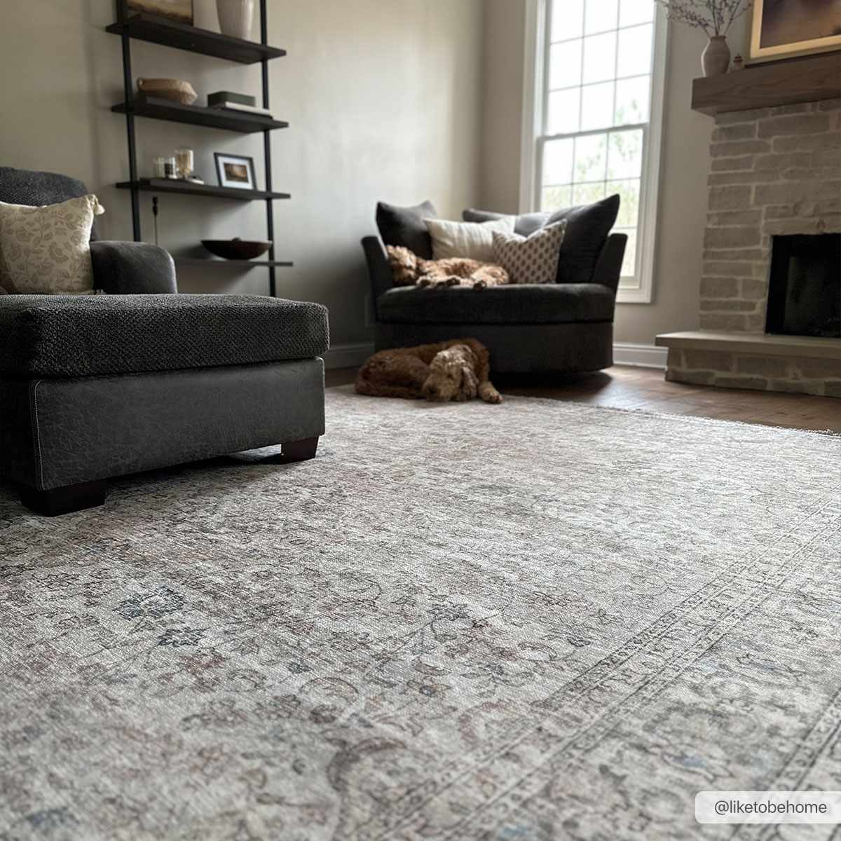 Bela Washable Area Rug  Durable Polyester, Stain-Resistant