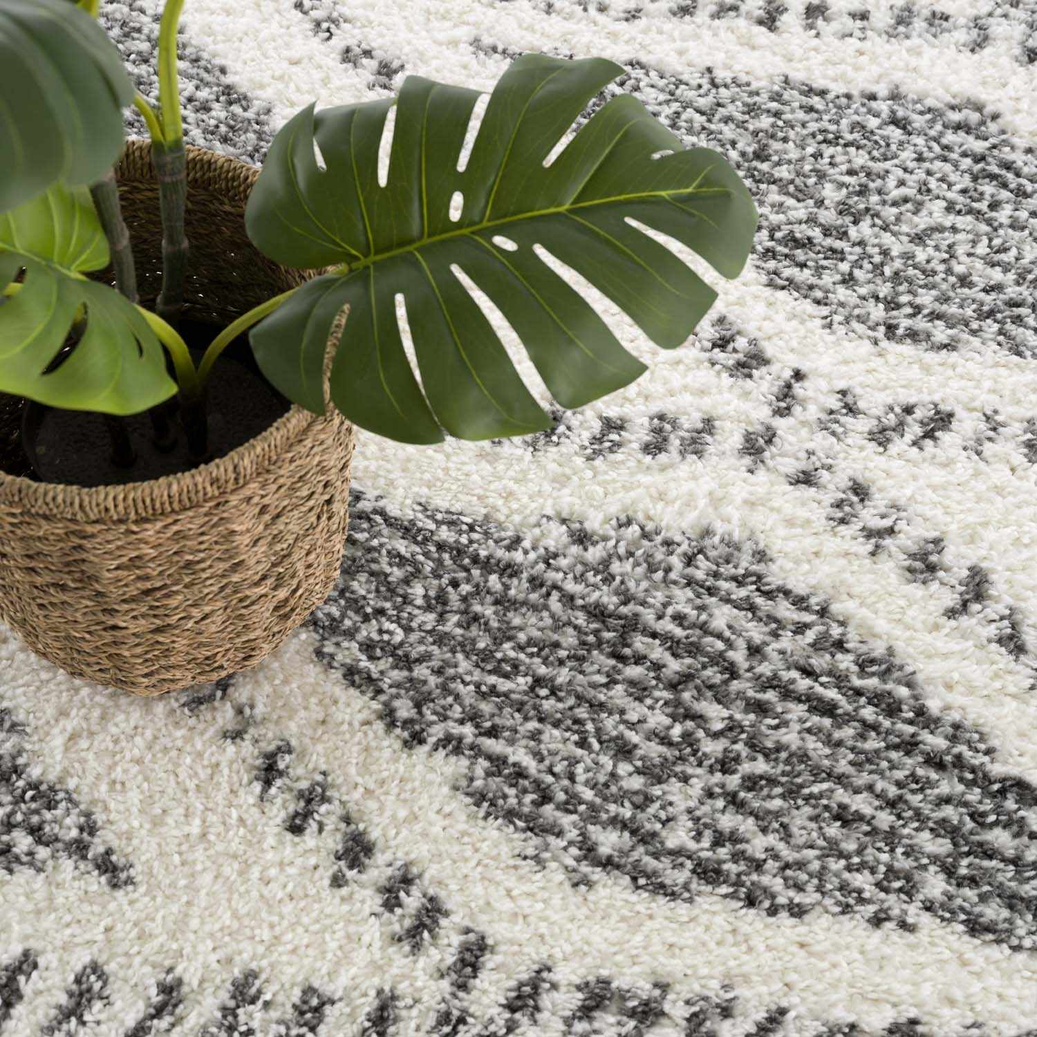 Trundo Plush Area Rug  Machine Woven  Transitional Bohemian