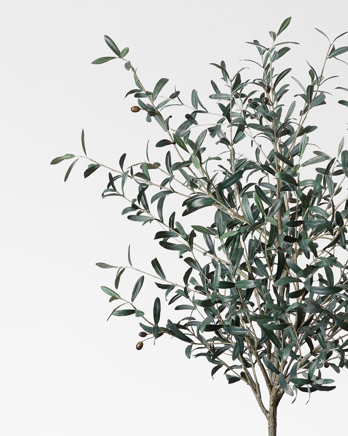 Bello Faux Olive Tree 72" with Ceramic Pot, Dark Green Foliage