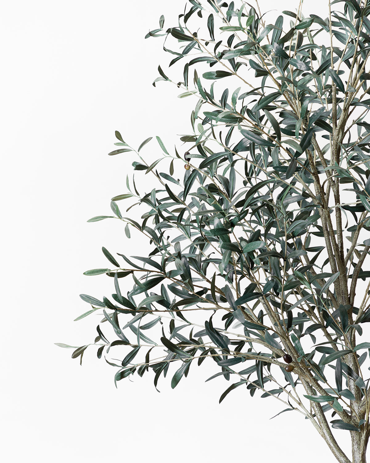Bela Faux Olive Tree 96" with Woven Pot, Dark Green Leaves