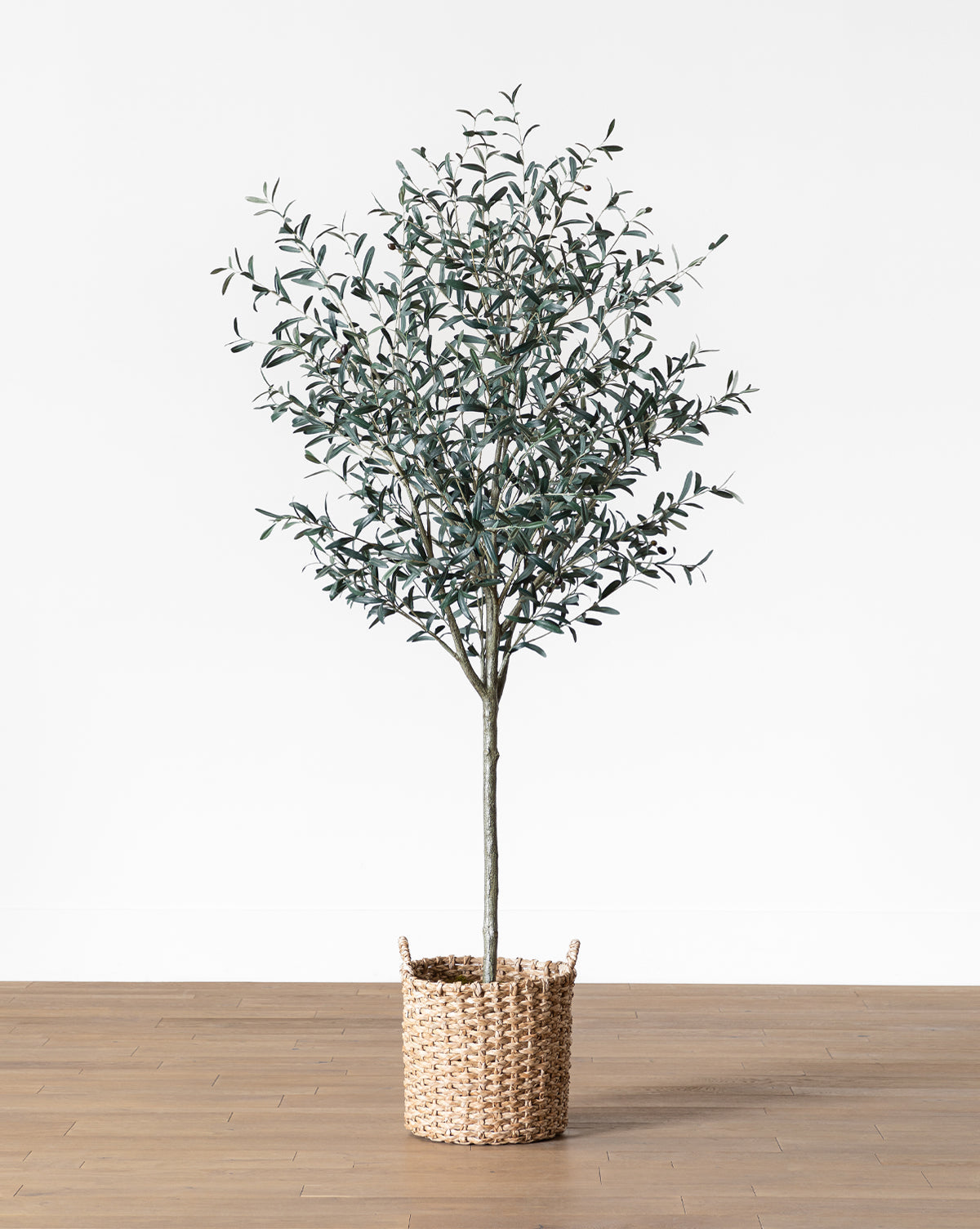 Bela Faux Olive Tree 96" with Woven Pot, Dark Green Leaves