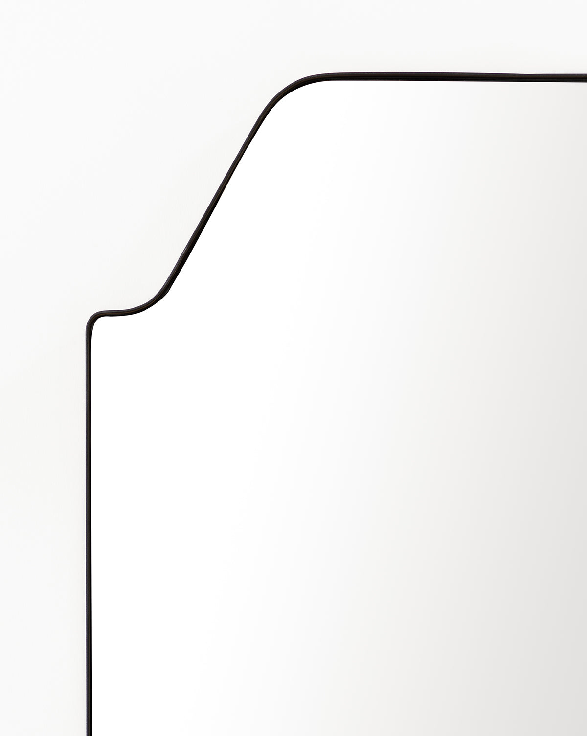 Giselle Floor Mirror  Matte Black Stainless Steel Frame