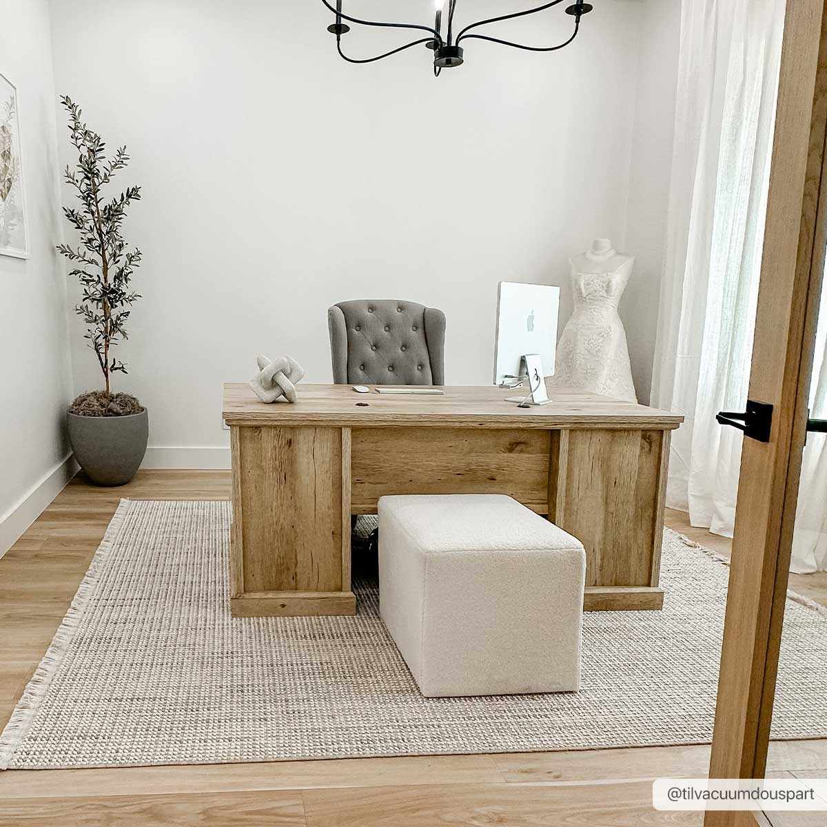 Gala Cream Area Rug  Transitional Style  Low Pile Polyester