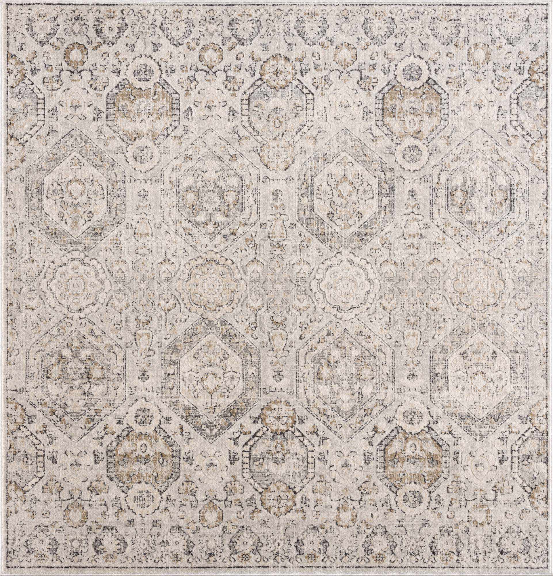 Paxley Area Rug  Moroccan Style, Medium Pile Polypropylene