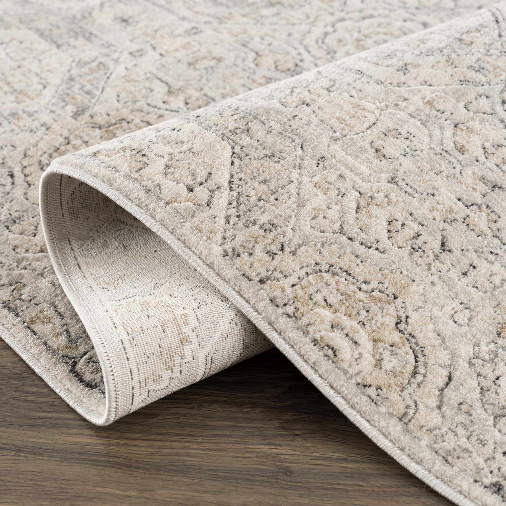 Paxley Area Rug  Moroccan Style, Medium Pile Polypropylene