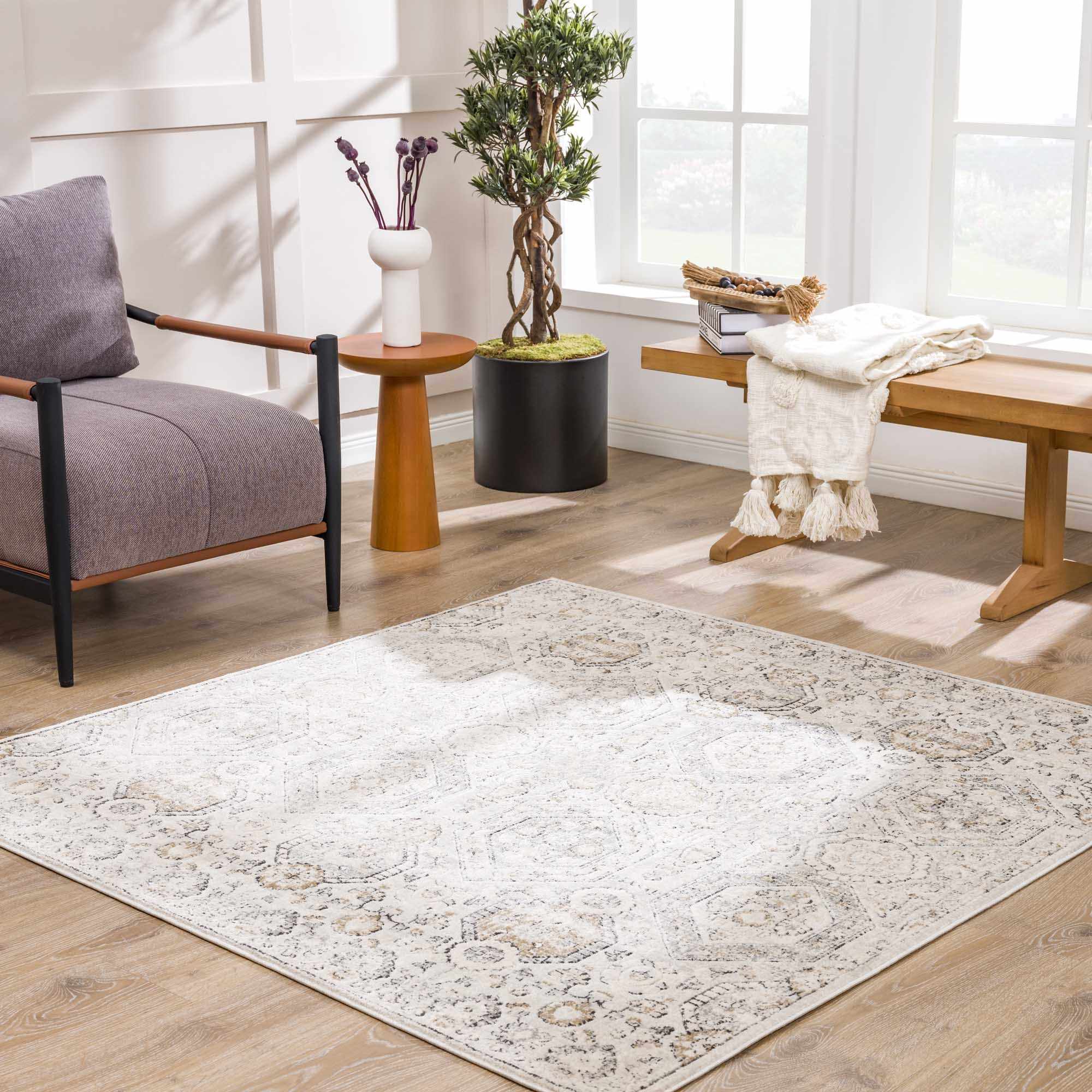 Paxley Area Rug  Moroccan Style, Medium Pile Polypropylene