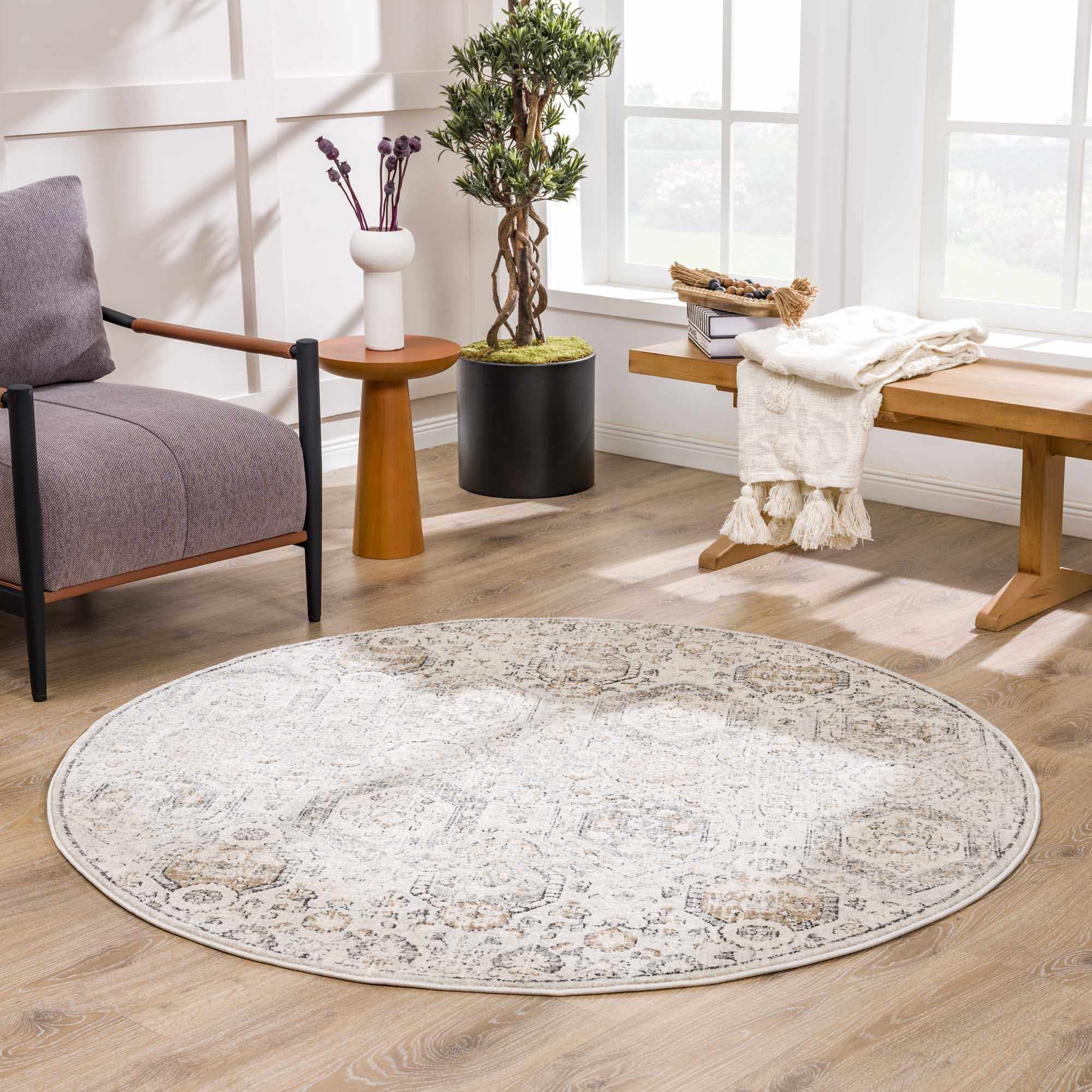 Paxley Area Rug  Moroccan Style, Medium Pile Polypropylene