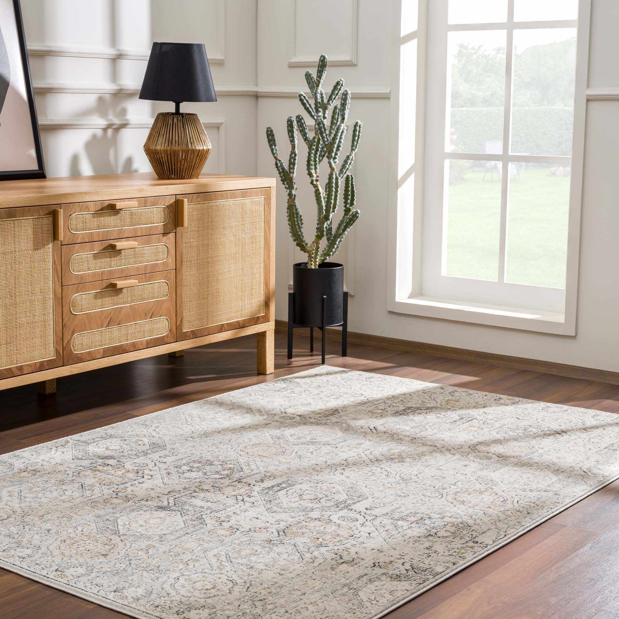 Paxley Area Rug  Moroccan Style, Medium Pile Polypropylene