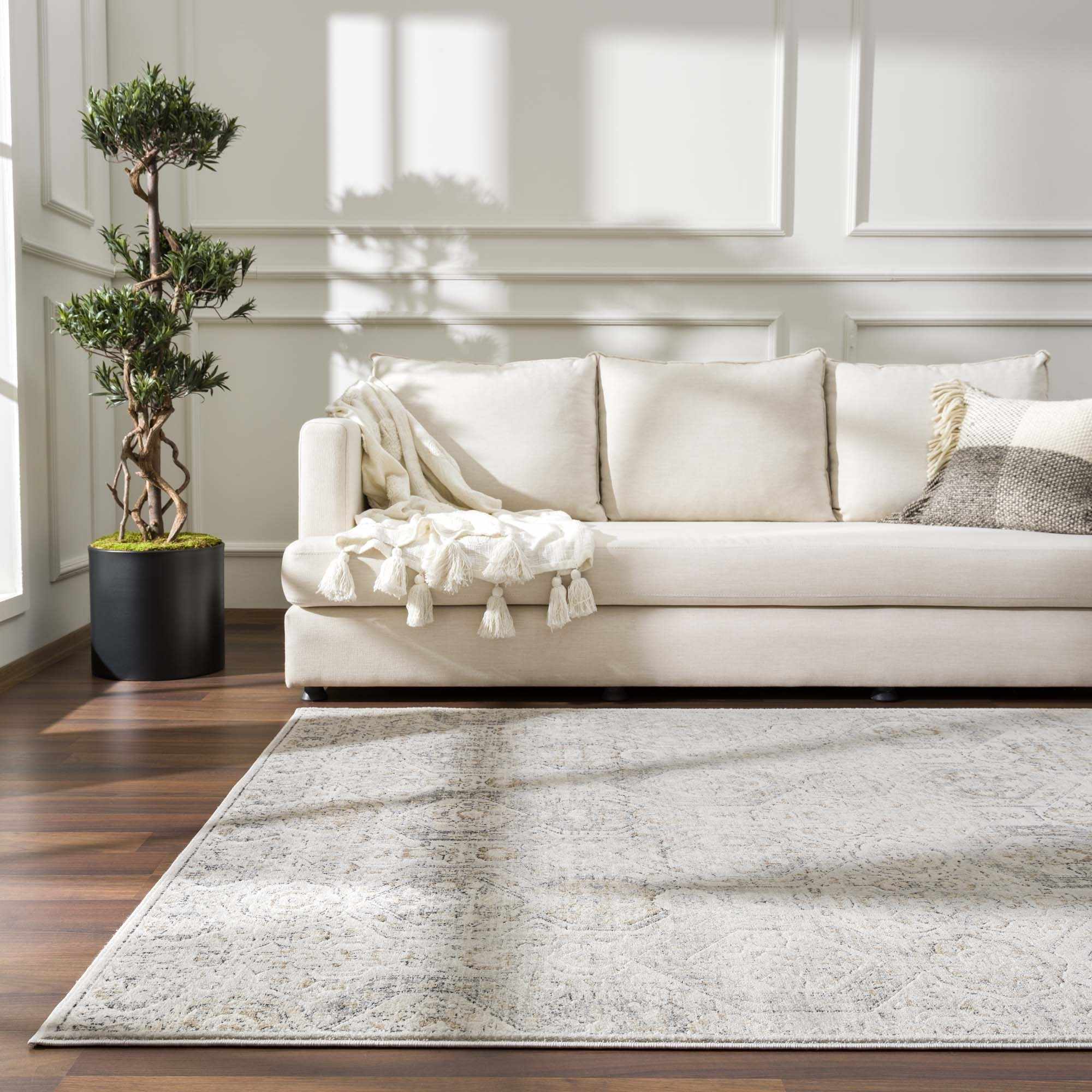 Paxley Area Rug  Moroccan Style, Medium Pile Polypropylene