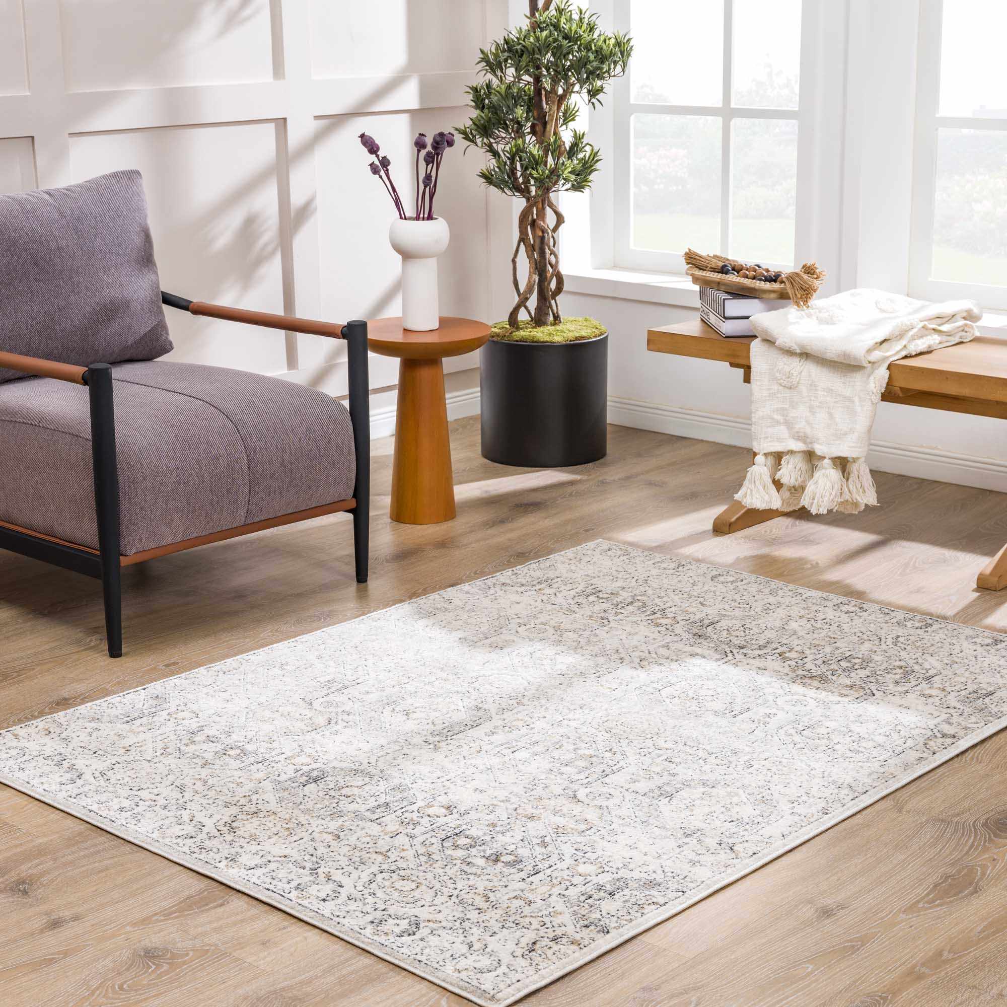 Paxley Area Rug  Moroccan Style, Medium Pile Polypropylene