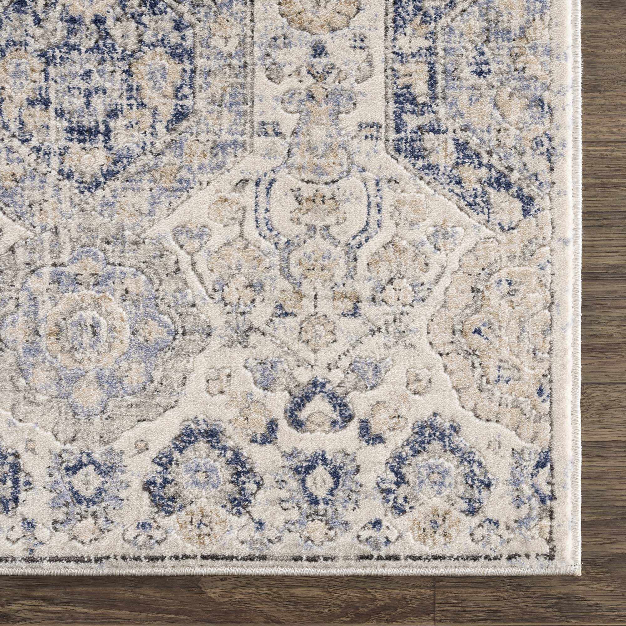 Brevity Area Rug  Traditional Machine Woven  Medium Pile